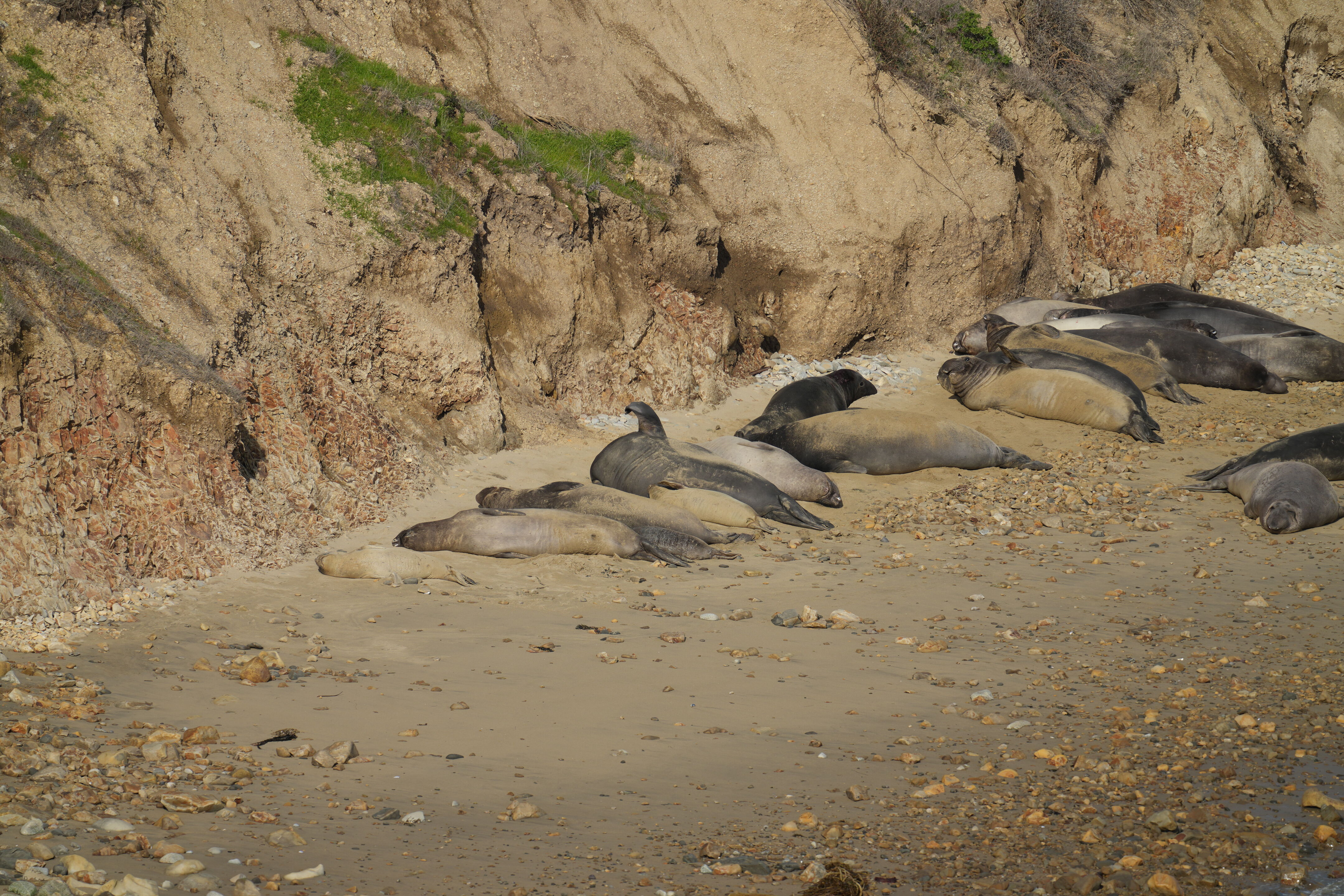 Point Reyes National Seashore - Chimney Rock