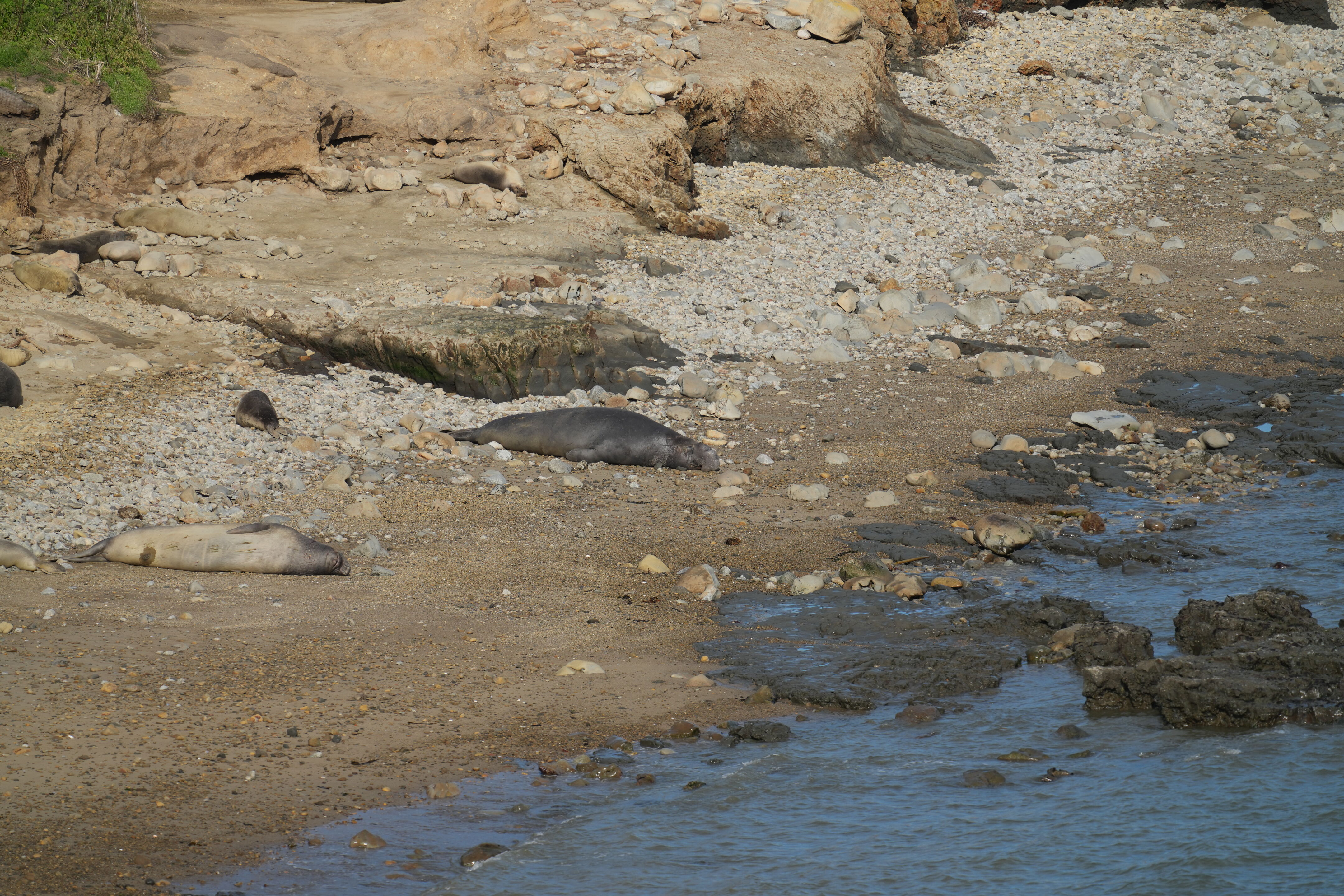 Point Reyes National Seashore - Chimney Rock