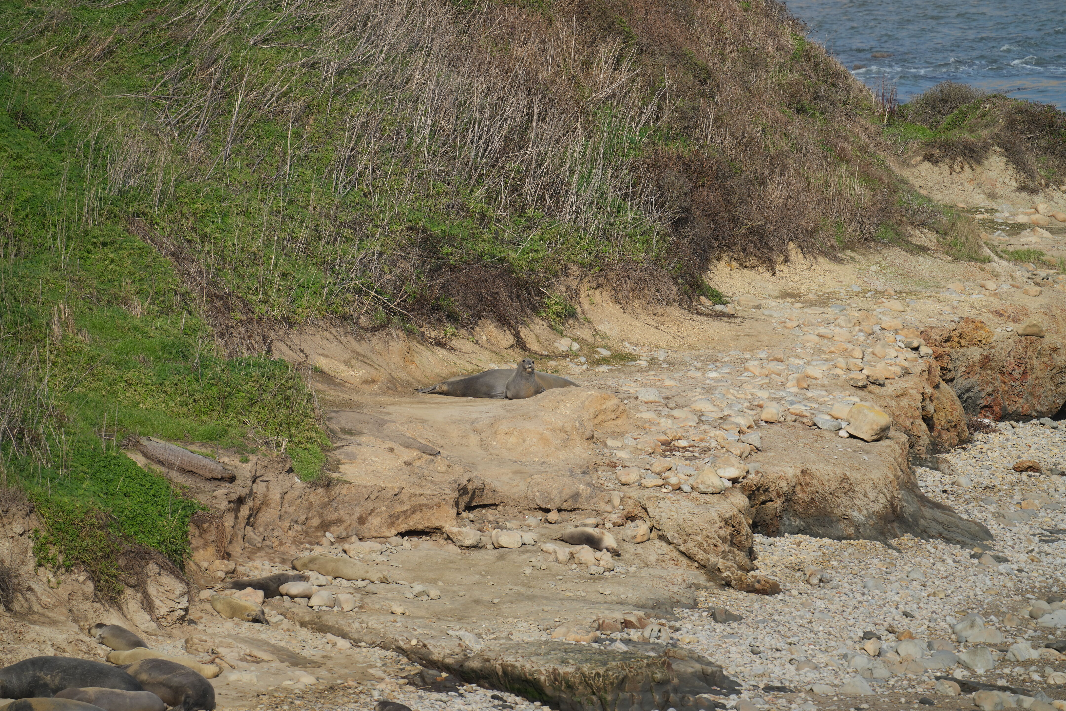 Point Reyes National Seashore - Chimney Rock