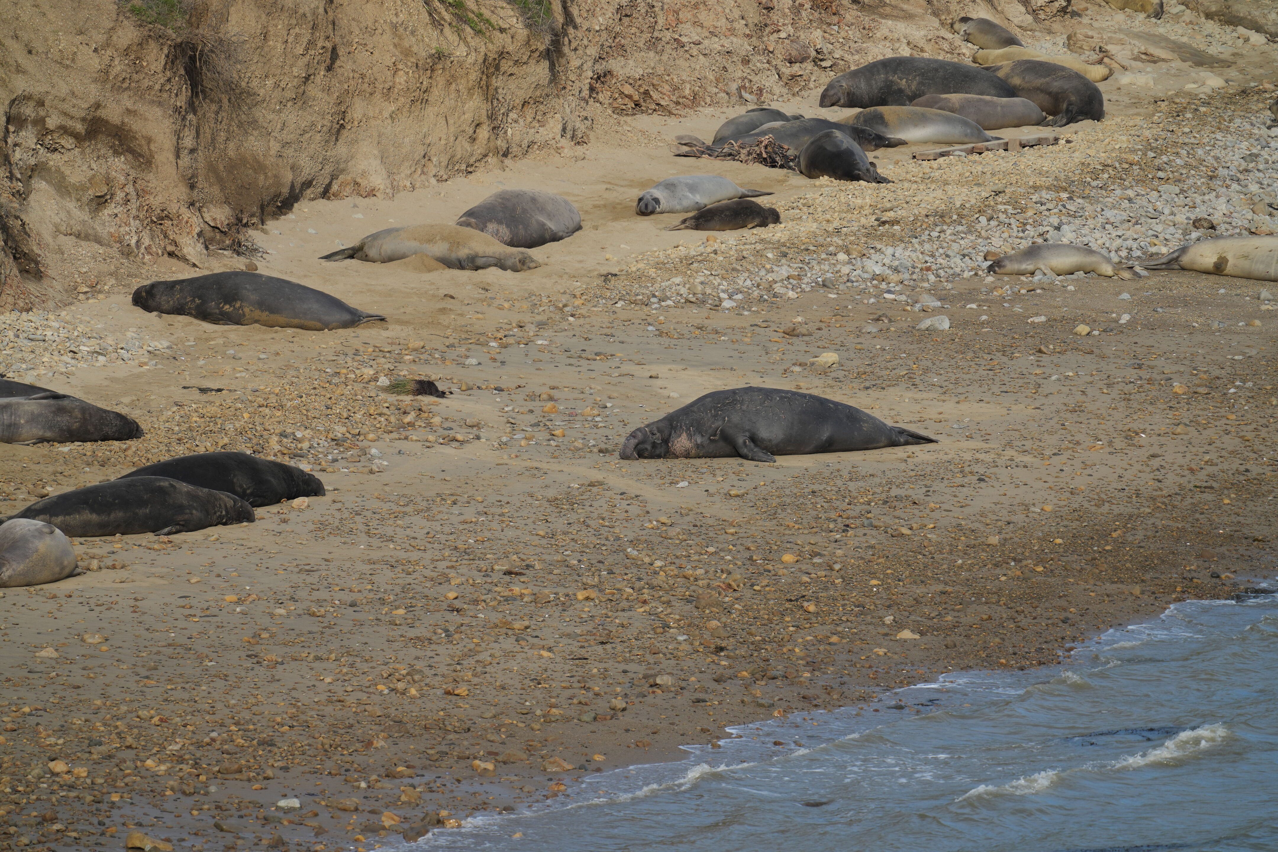 Point Reyes National Seashore - Chimney Rock