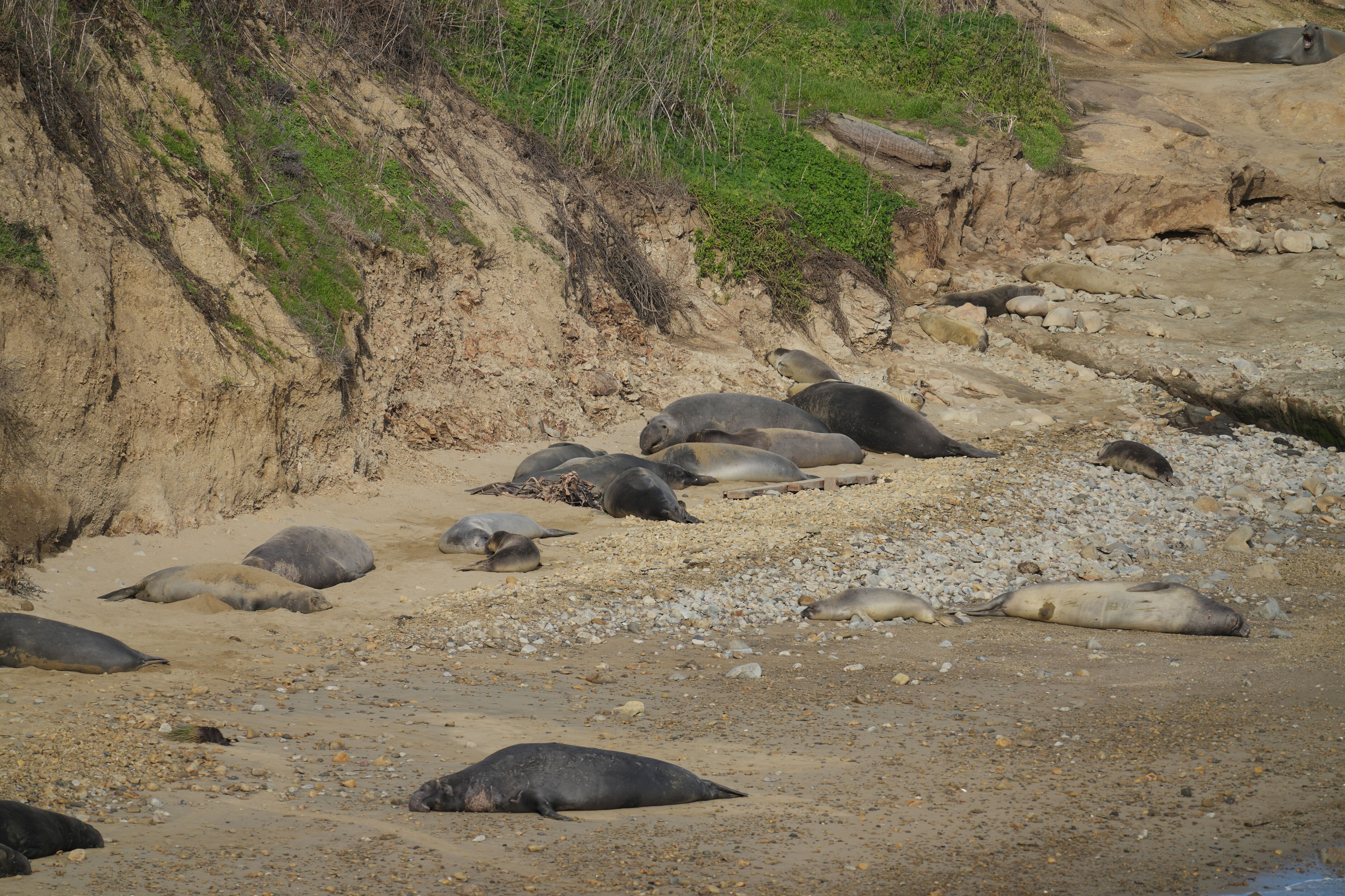 Point Reyes National Seashore - Chimney Rock