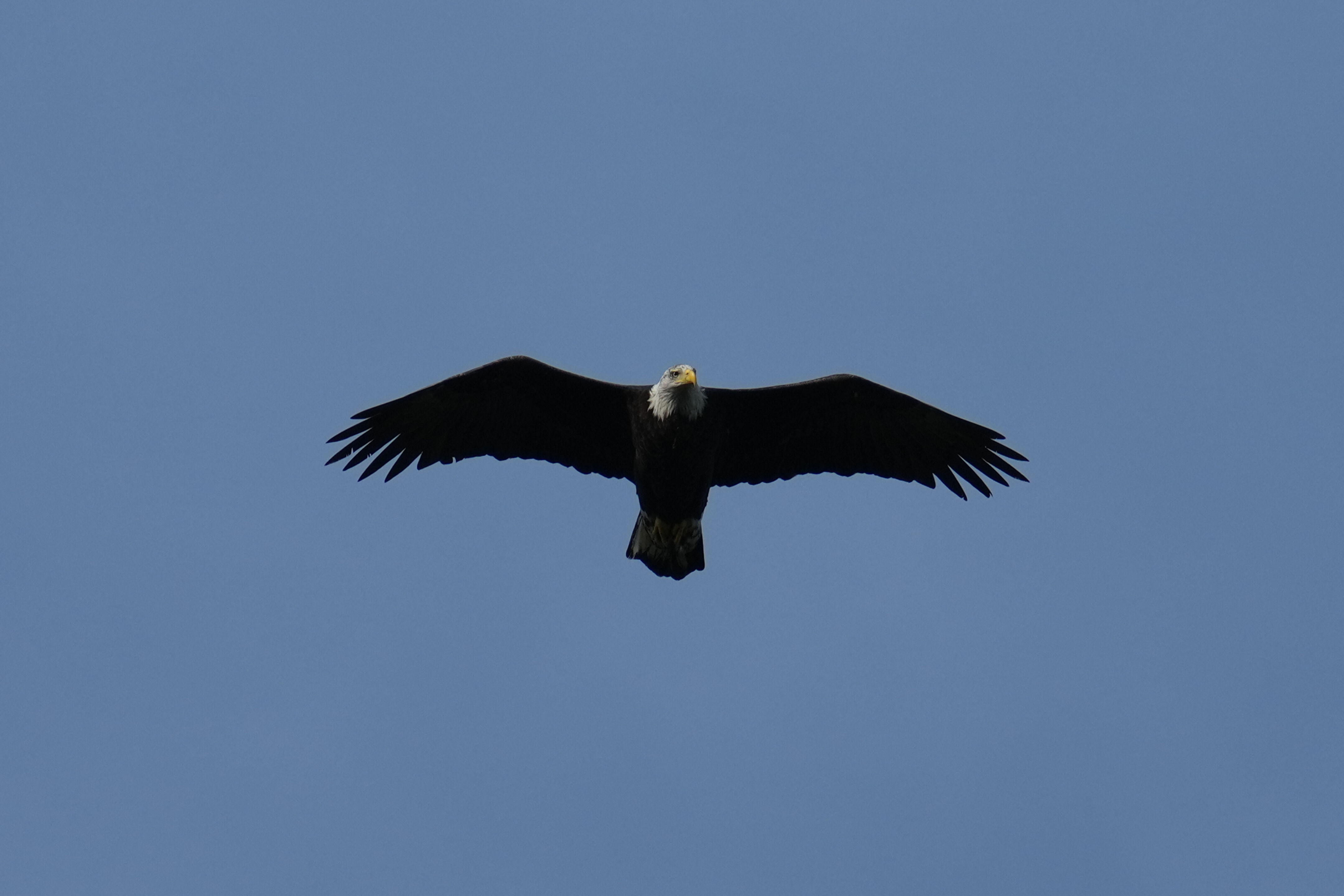 Point Reyes National Seashore - Chimney Rock