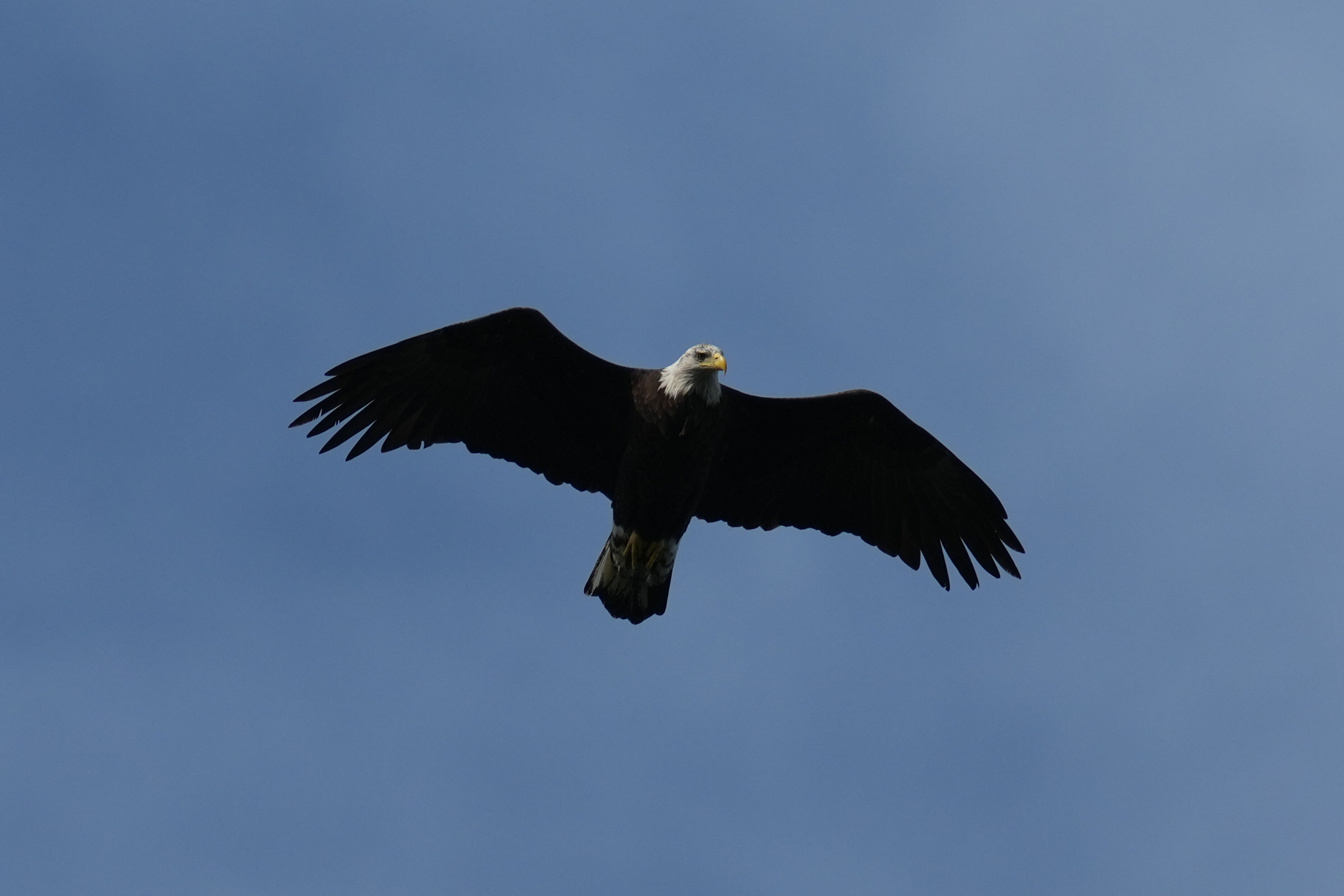 Point Reyes National Seashore - Chimney Rock