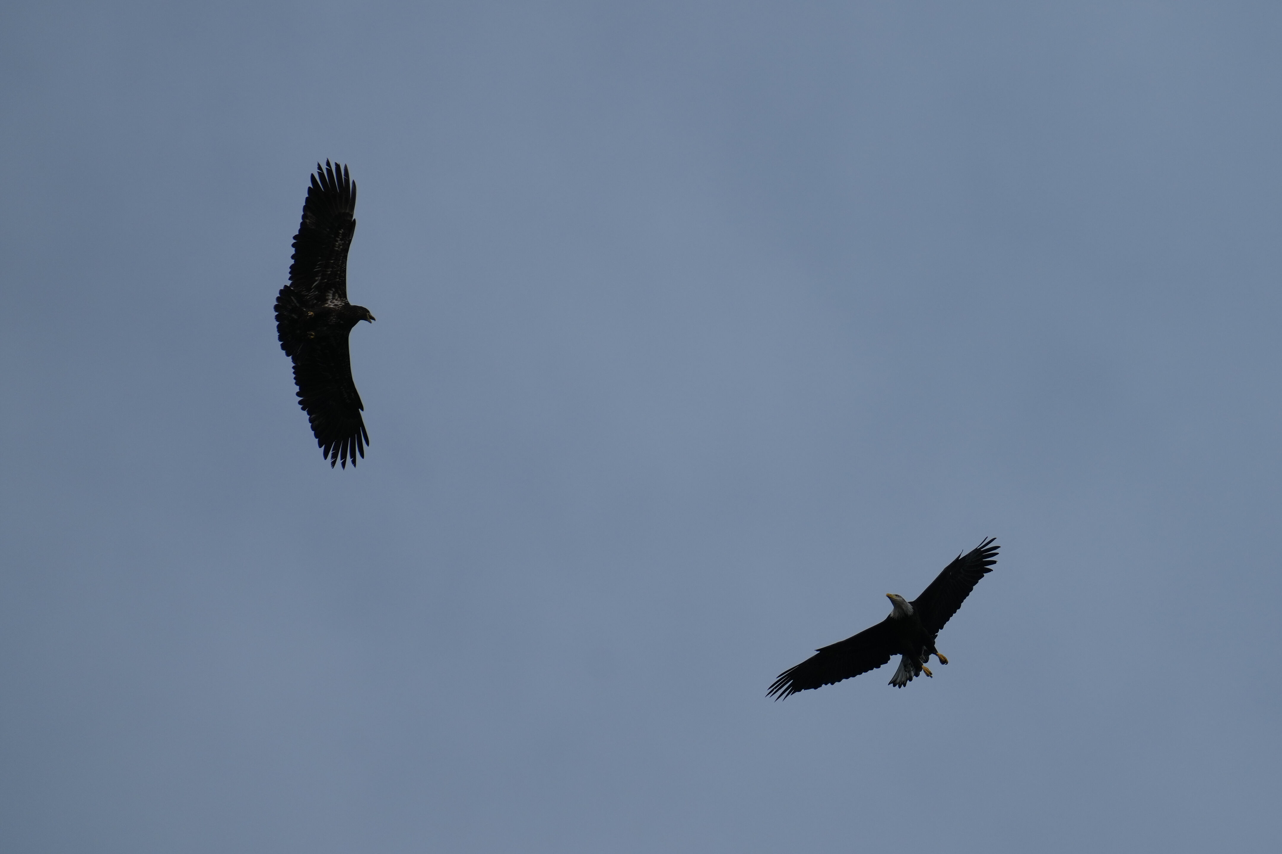 Point Reyes National Seashore - Chimney Rock