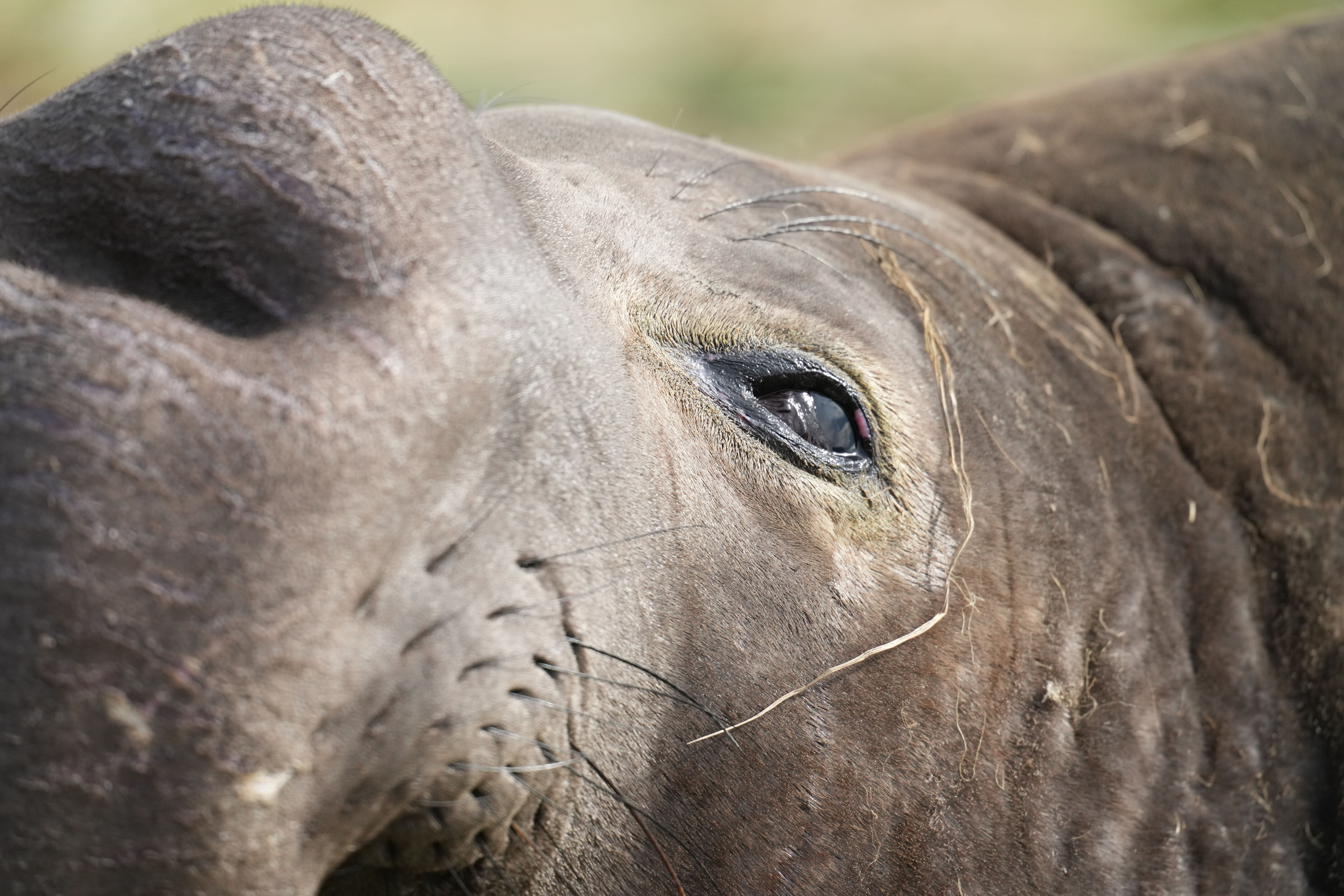 Point Reyes National Seashore - Drakes Beach