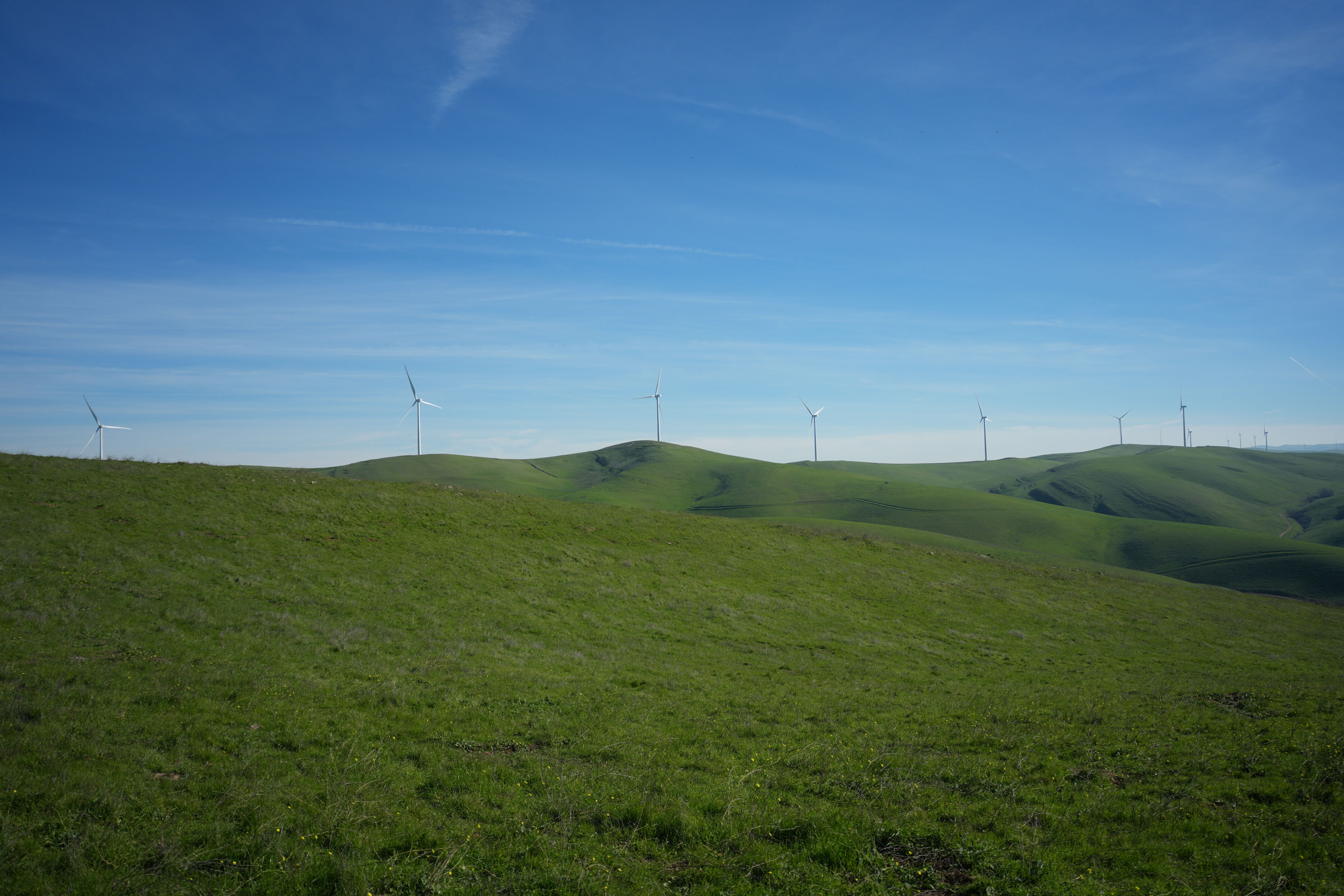 Brushy Peak Regional Preserve