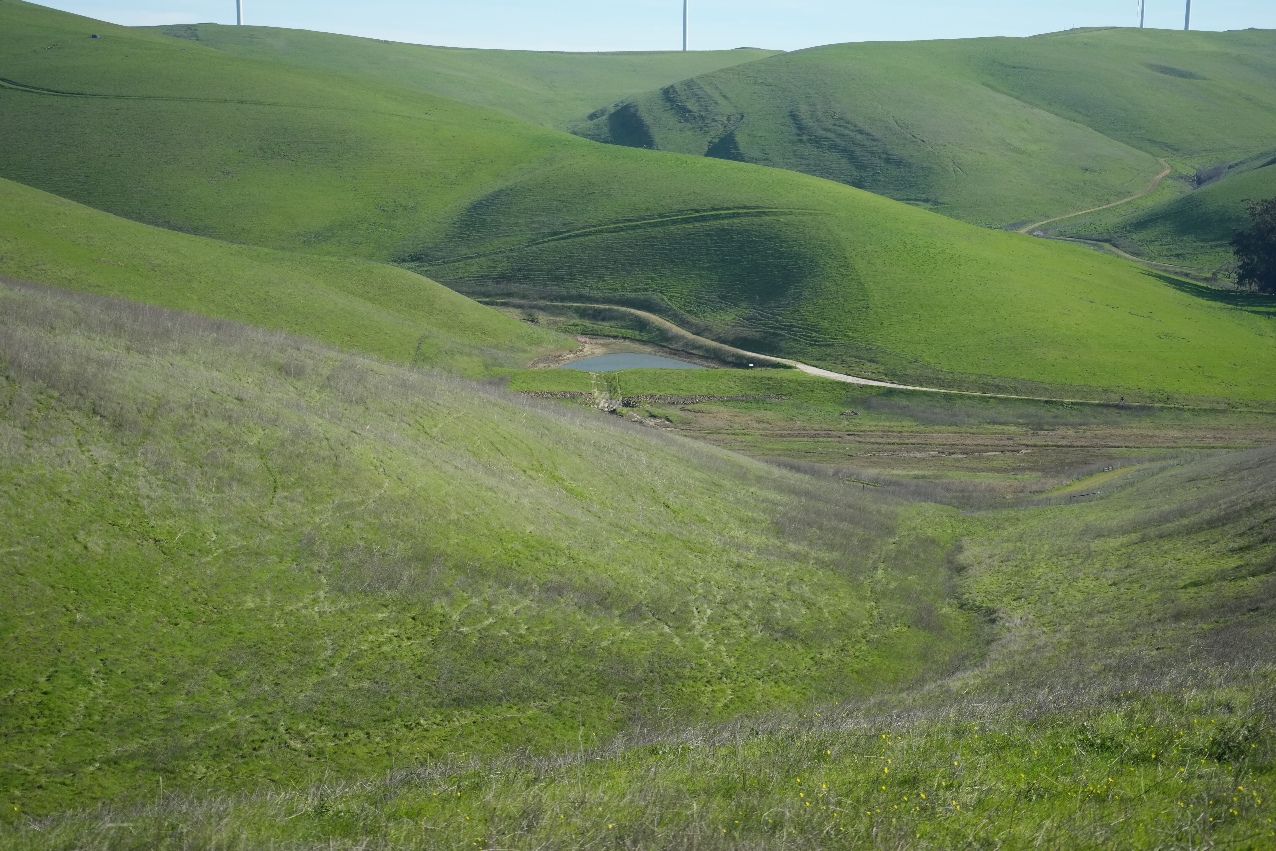 Brushy Peak Regional Preserve