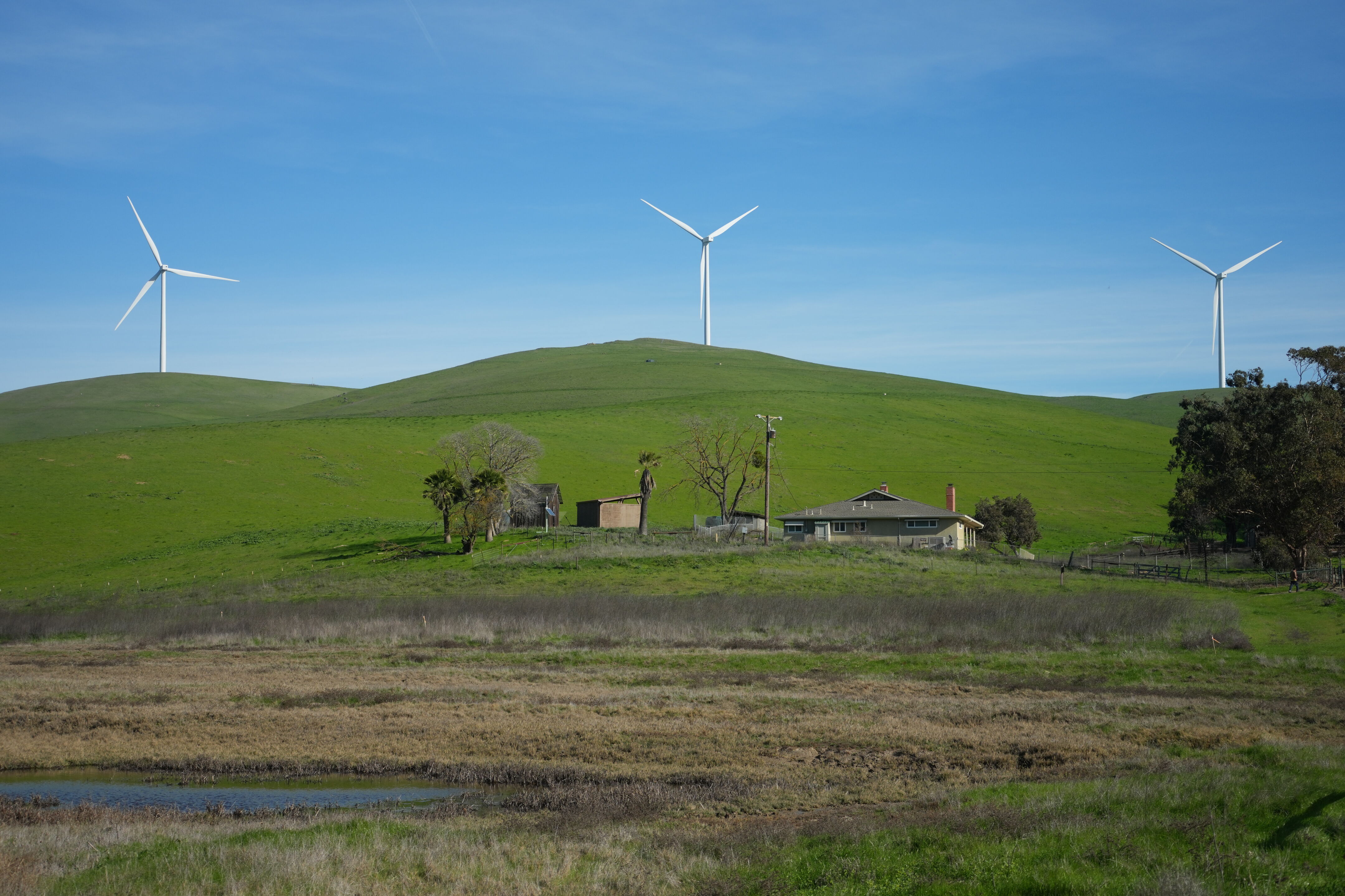 Brushy Peak Regional Preserve