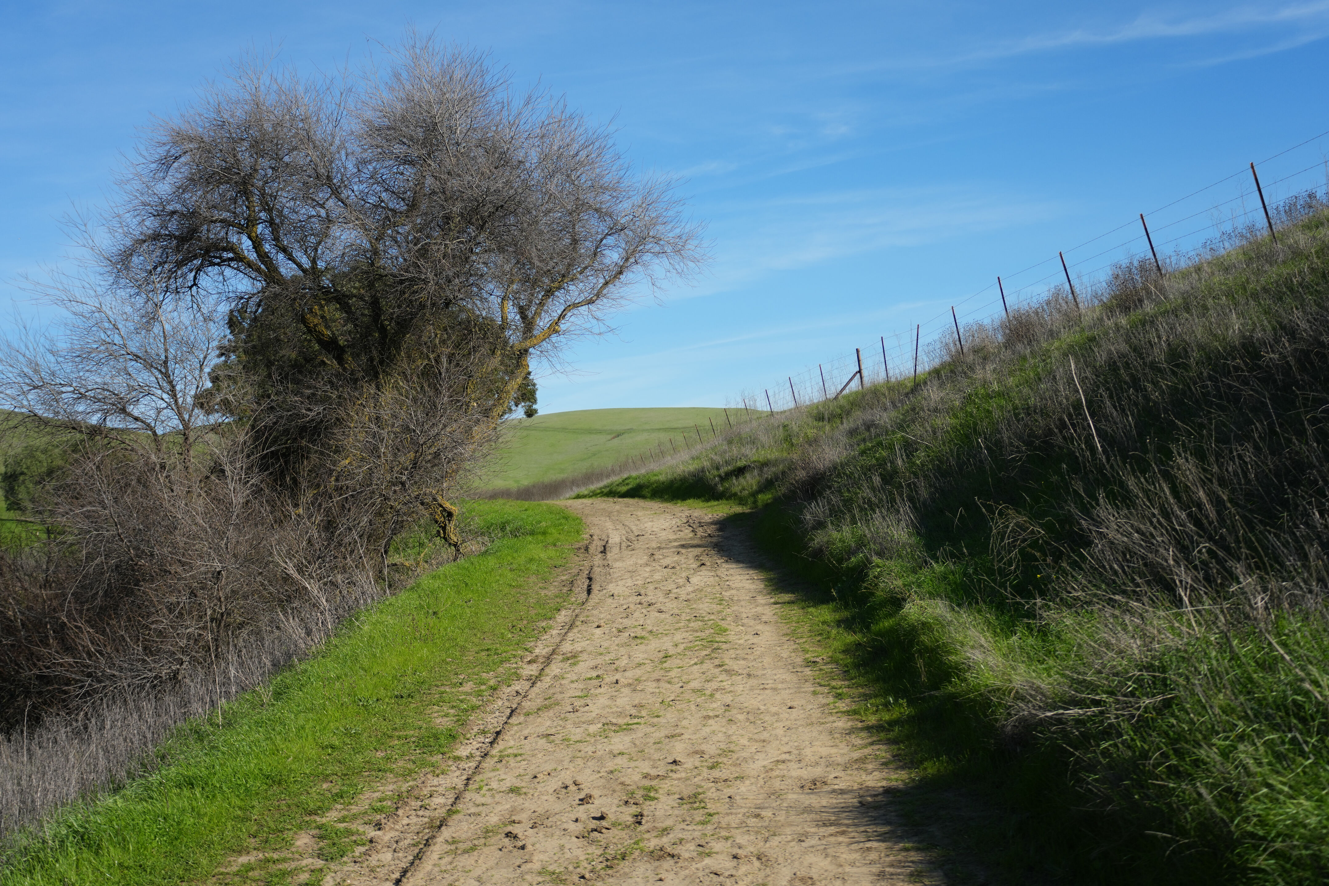 Brushy Peak Regional Preserve