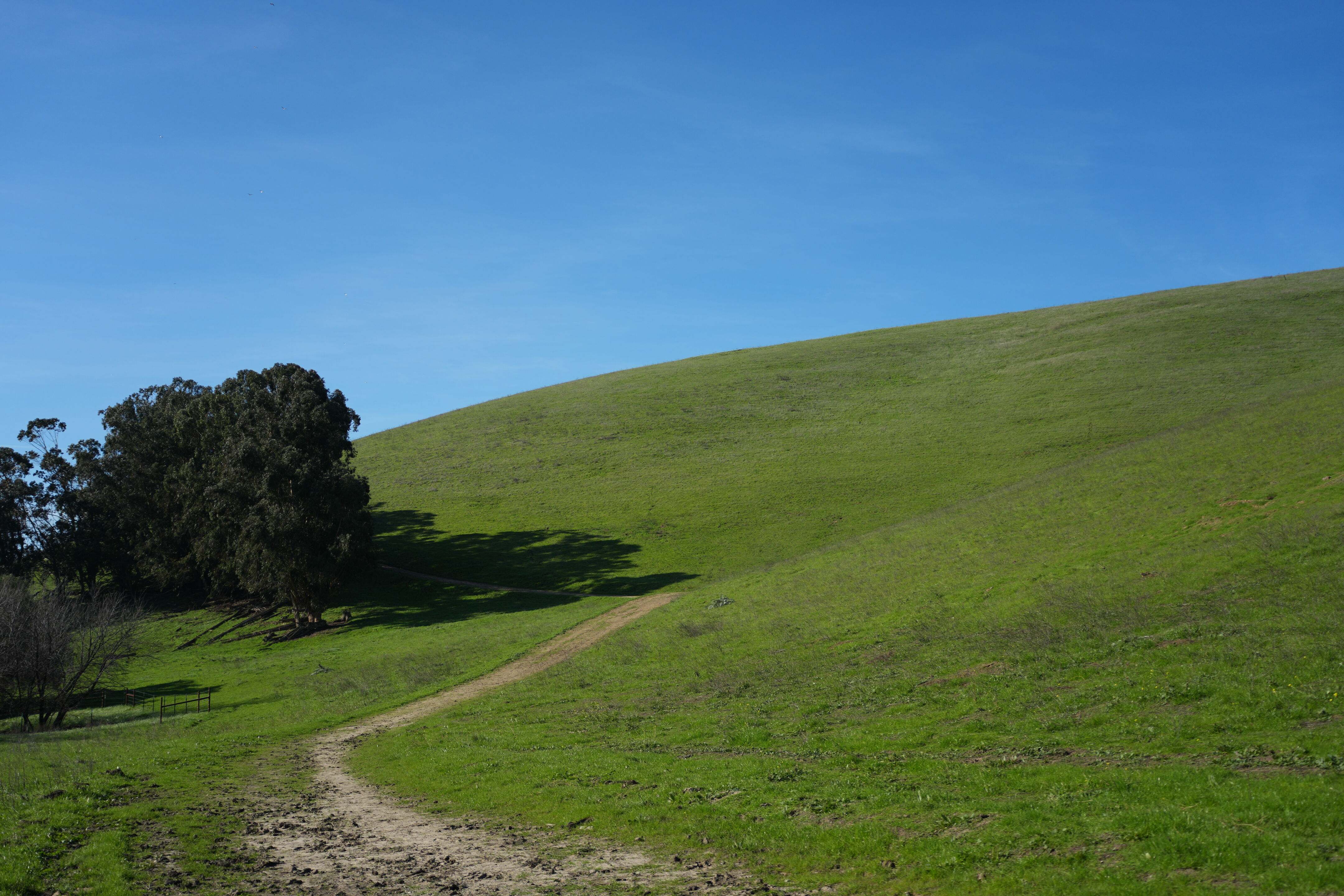 Brushy Peak Regional Preserve
