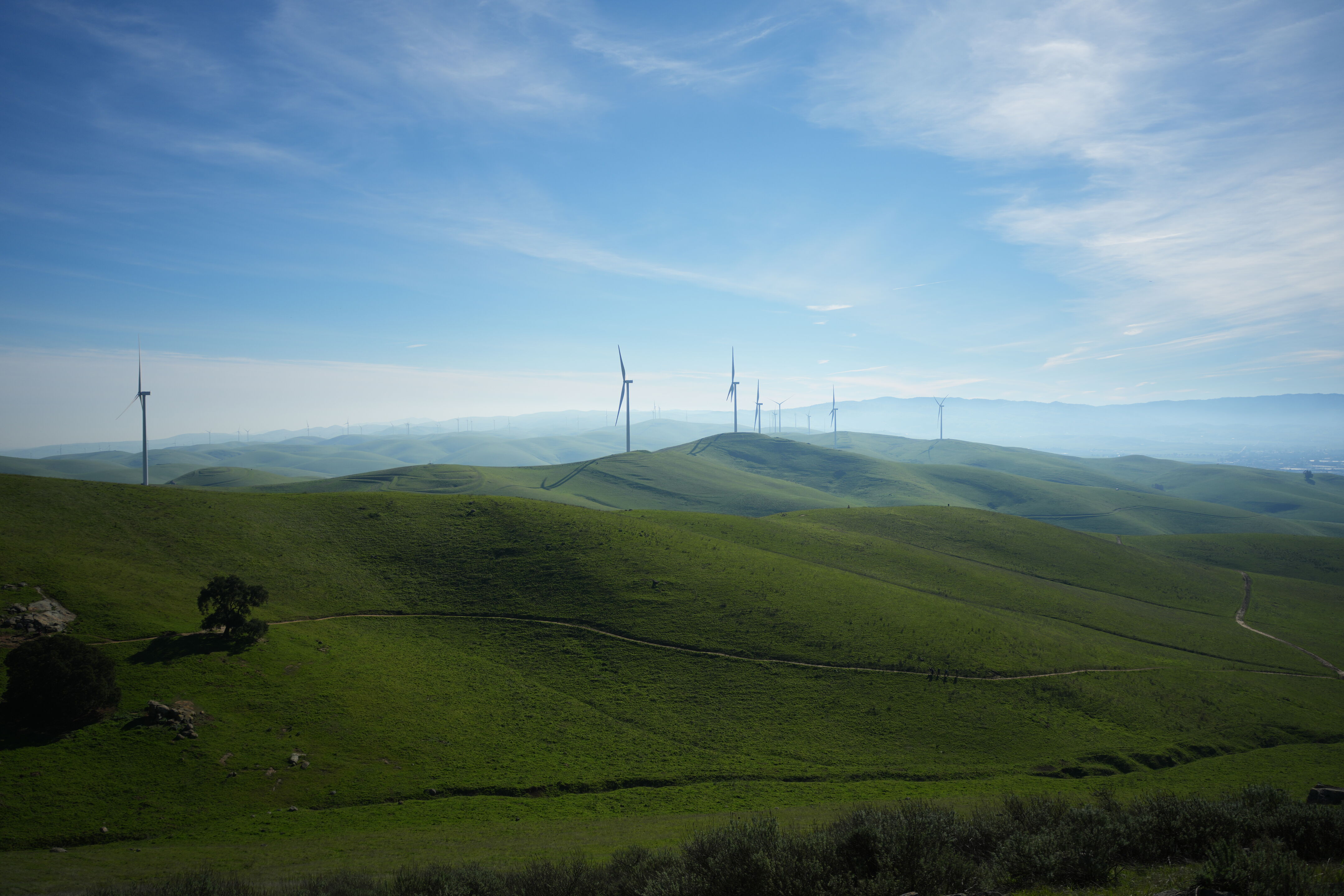 Brushy Peak Regional Preserve