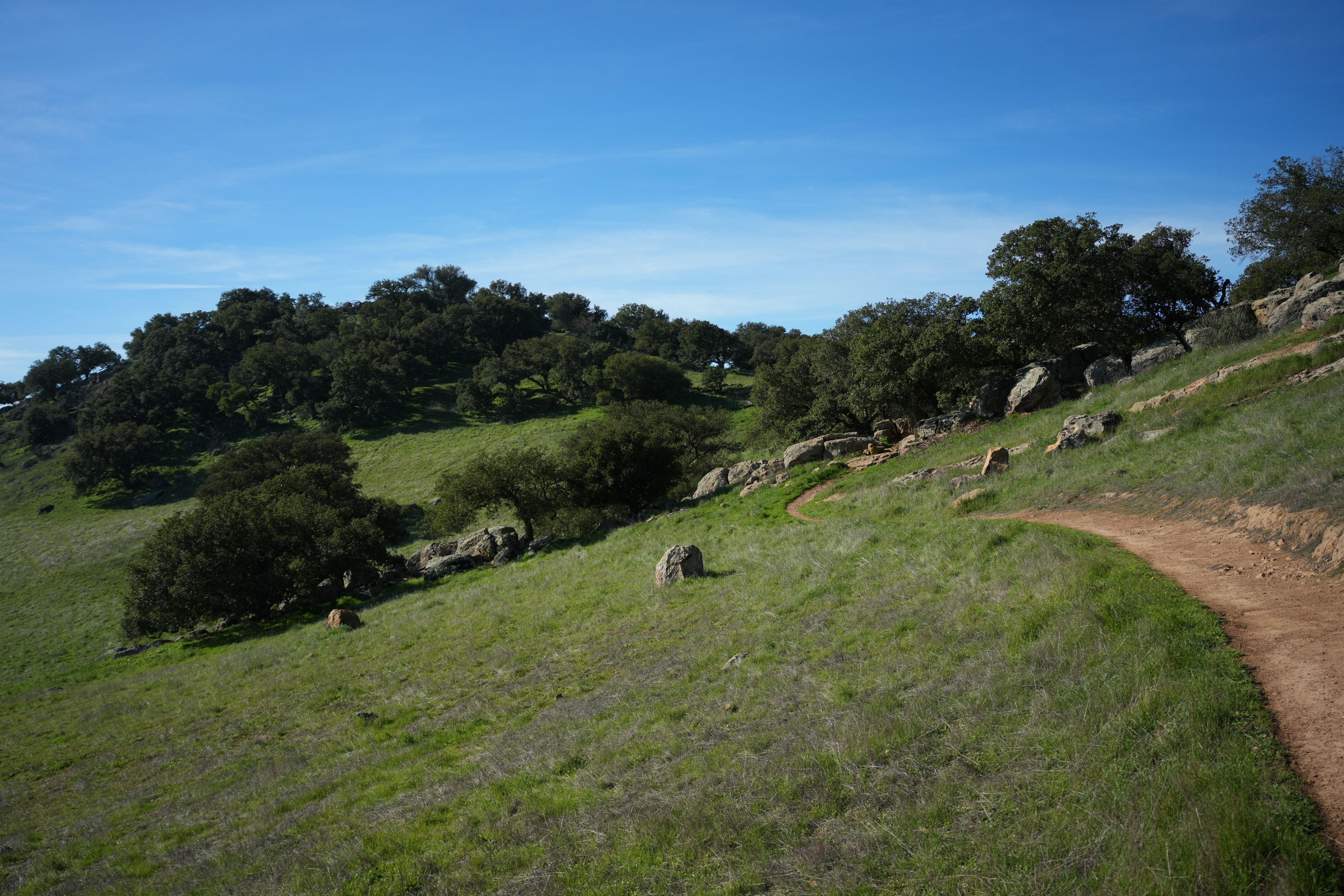 Brushy Peak Regional Preserve