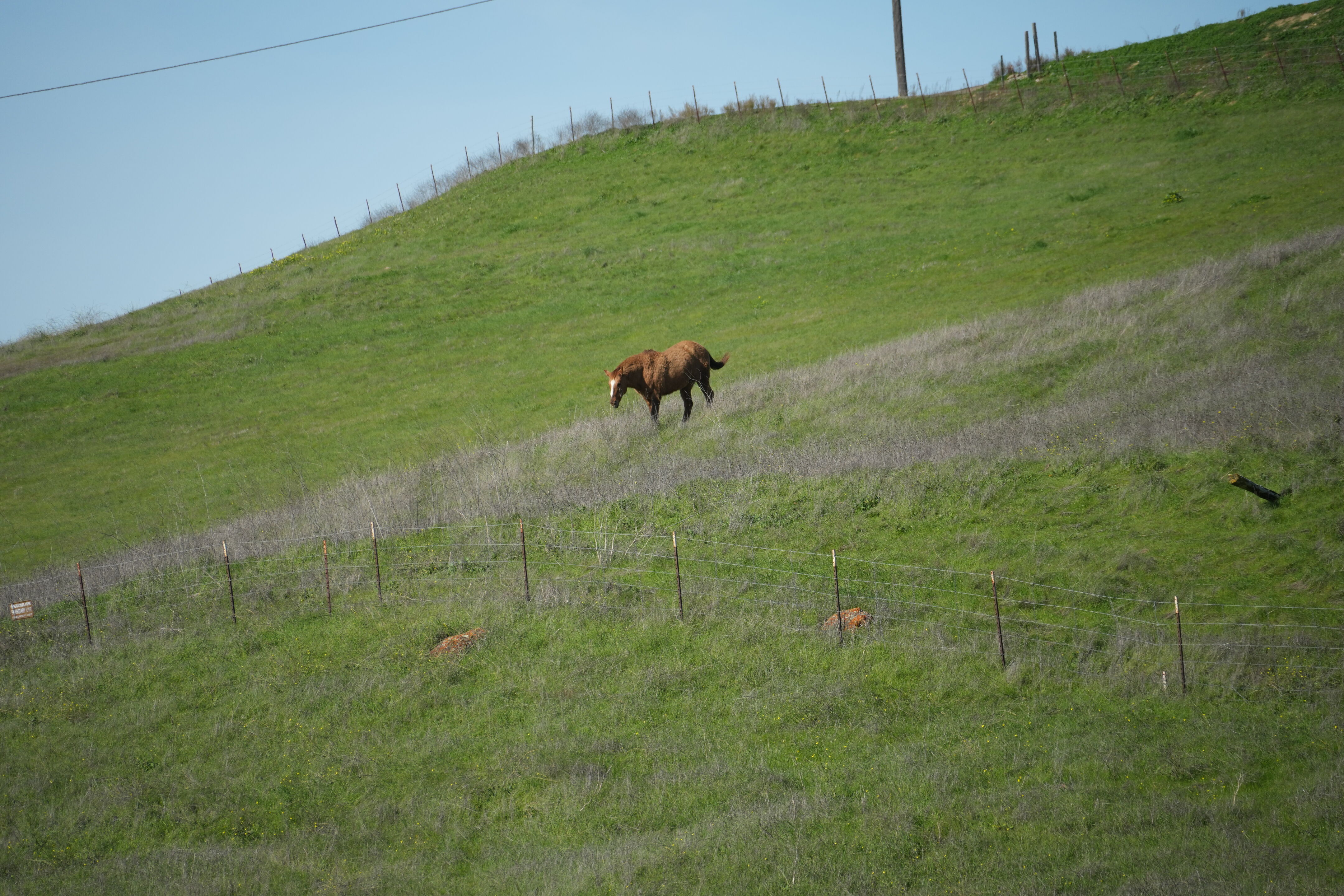 Brushy Peak Regional Preserve