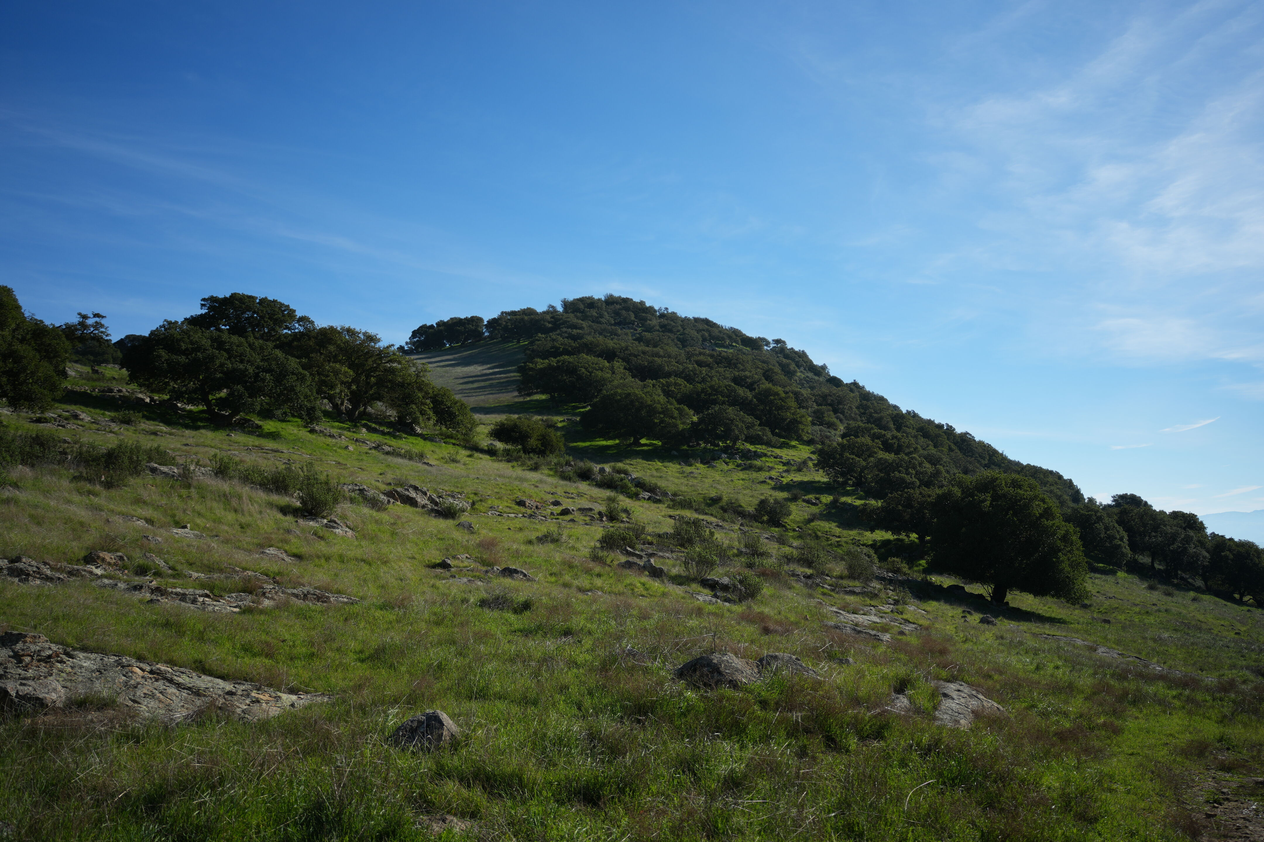 Brushy Peak Regional Preserve