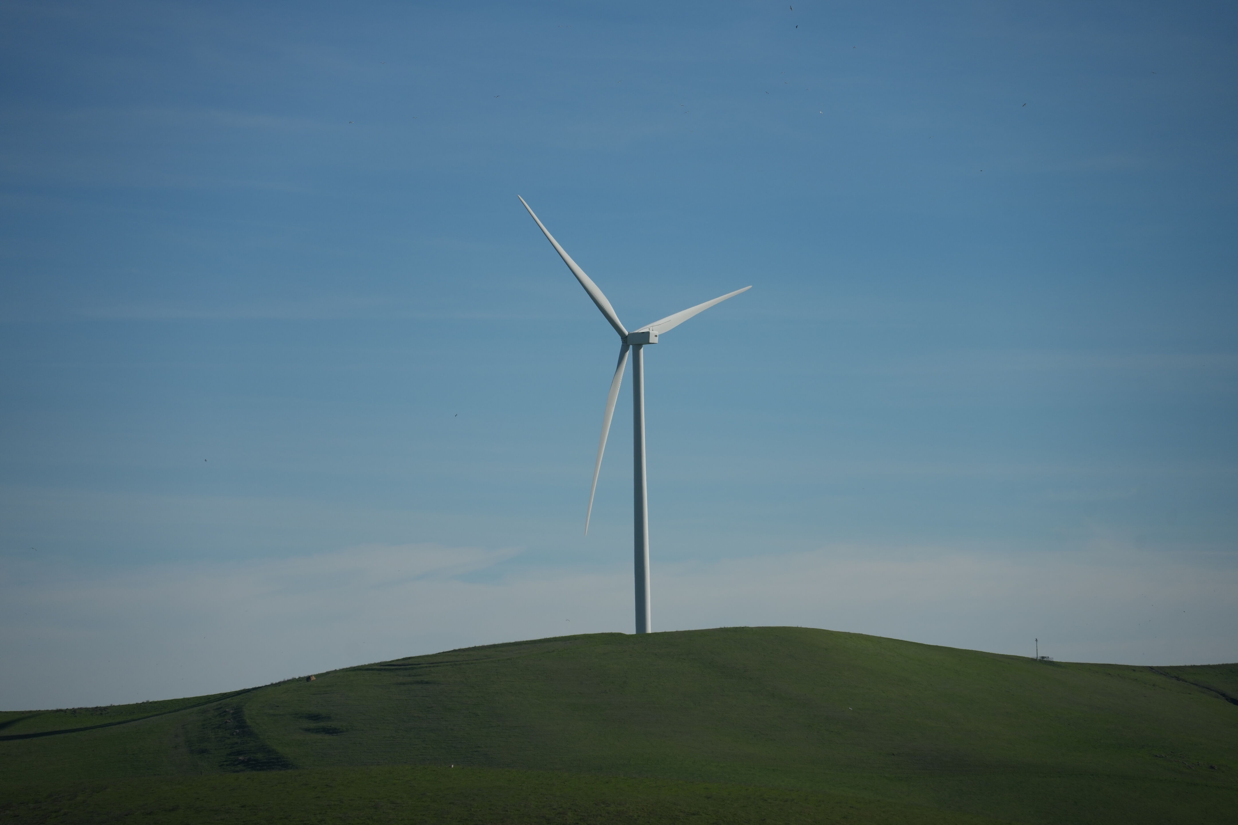 Brushy Peak Regional Preserve