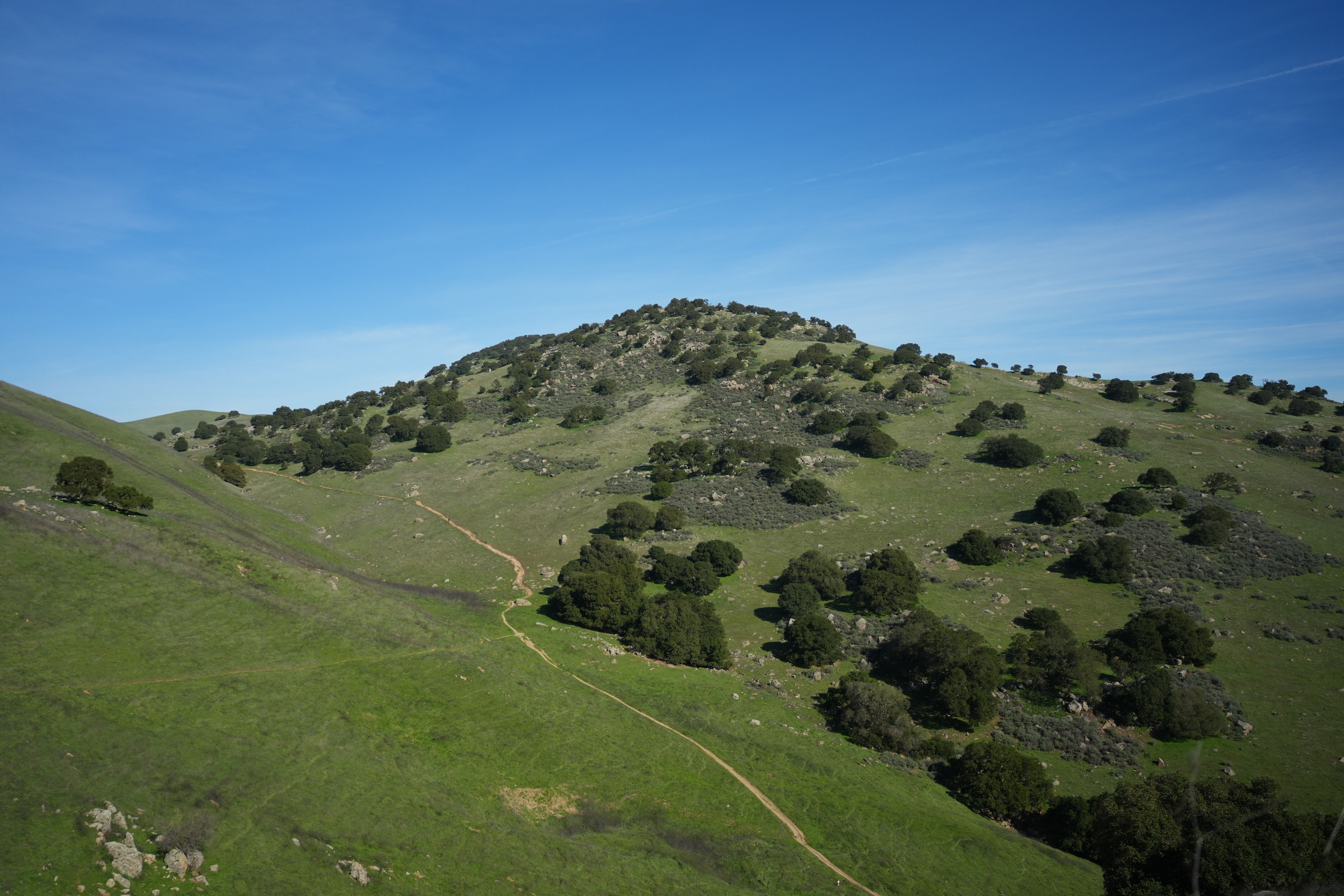 Brushy Peak Regional Preserve
