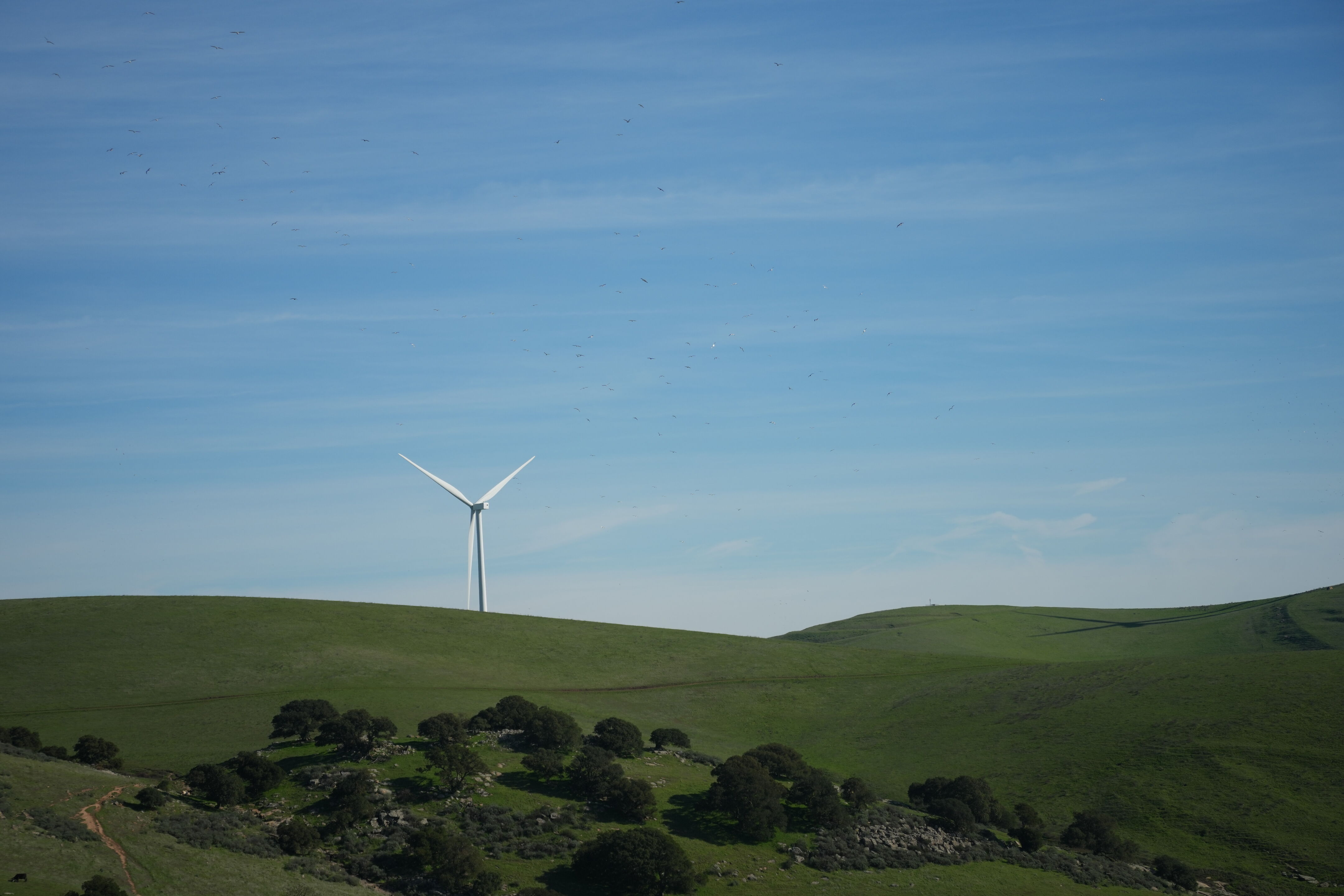 Brushy Peak Regional Preserve