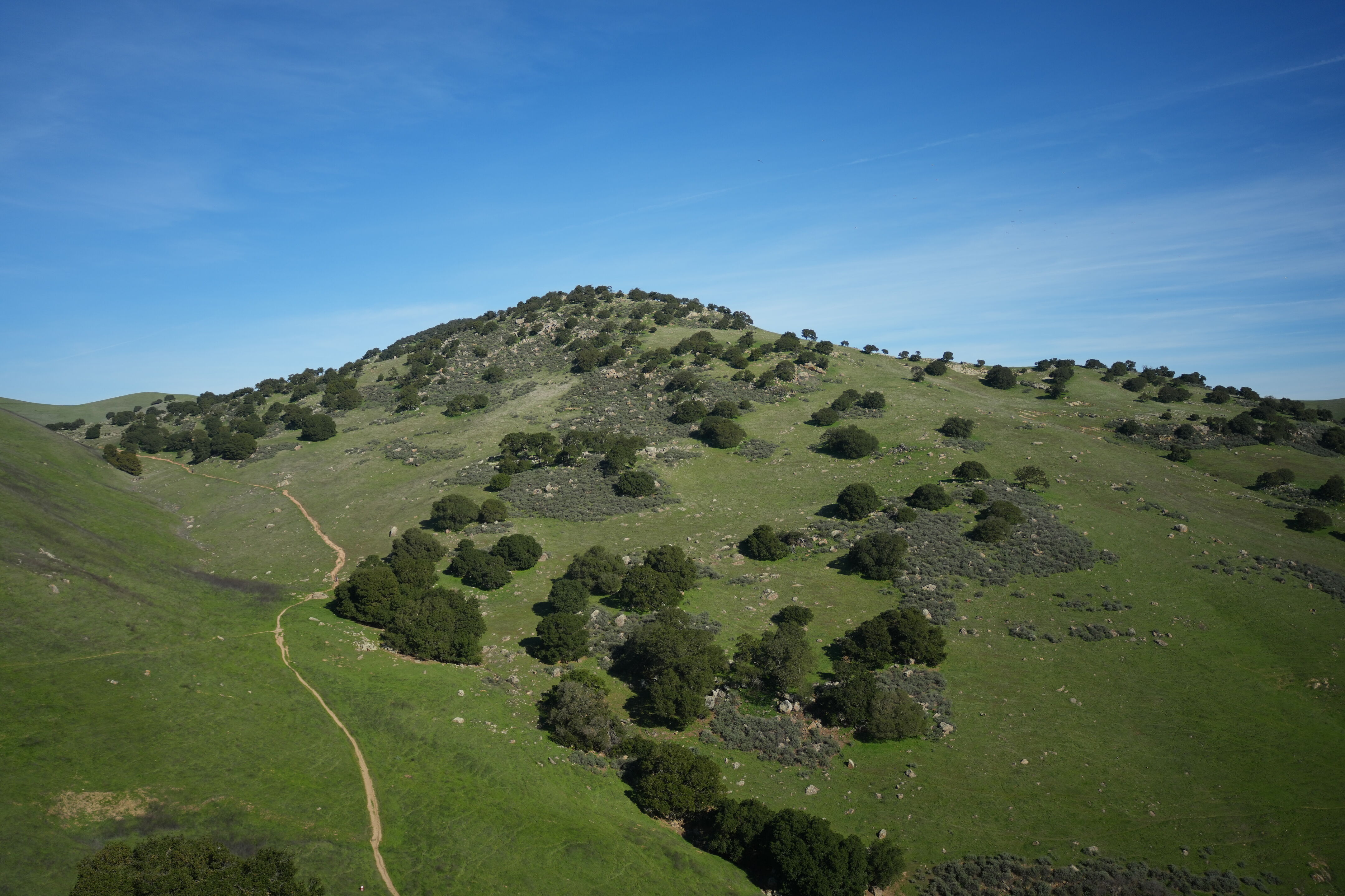 Brushy Peak Regional Preserve