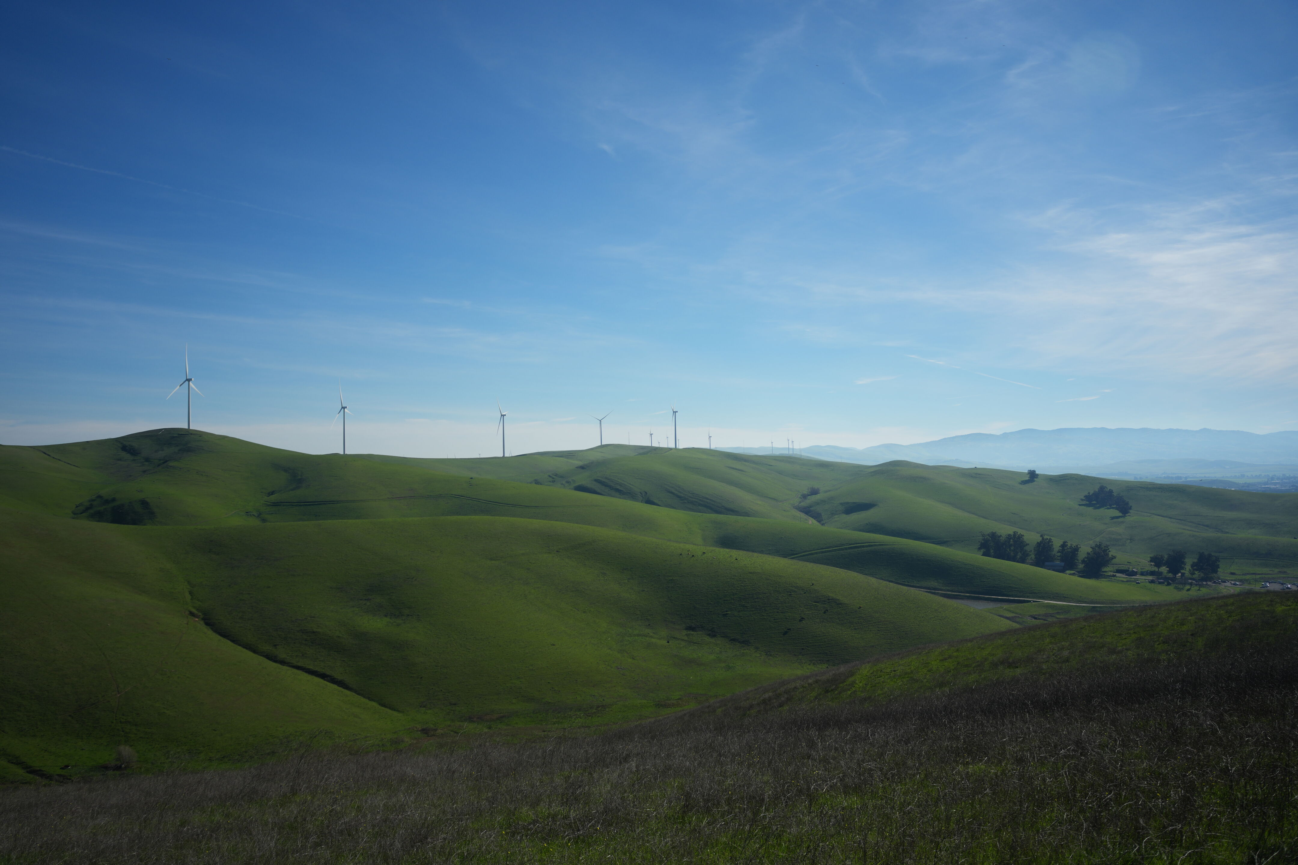 Brushy Peak Regional Preserve