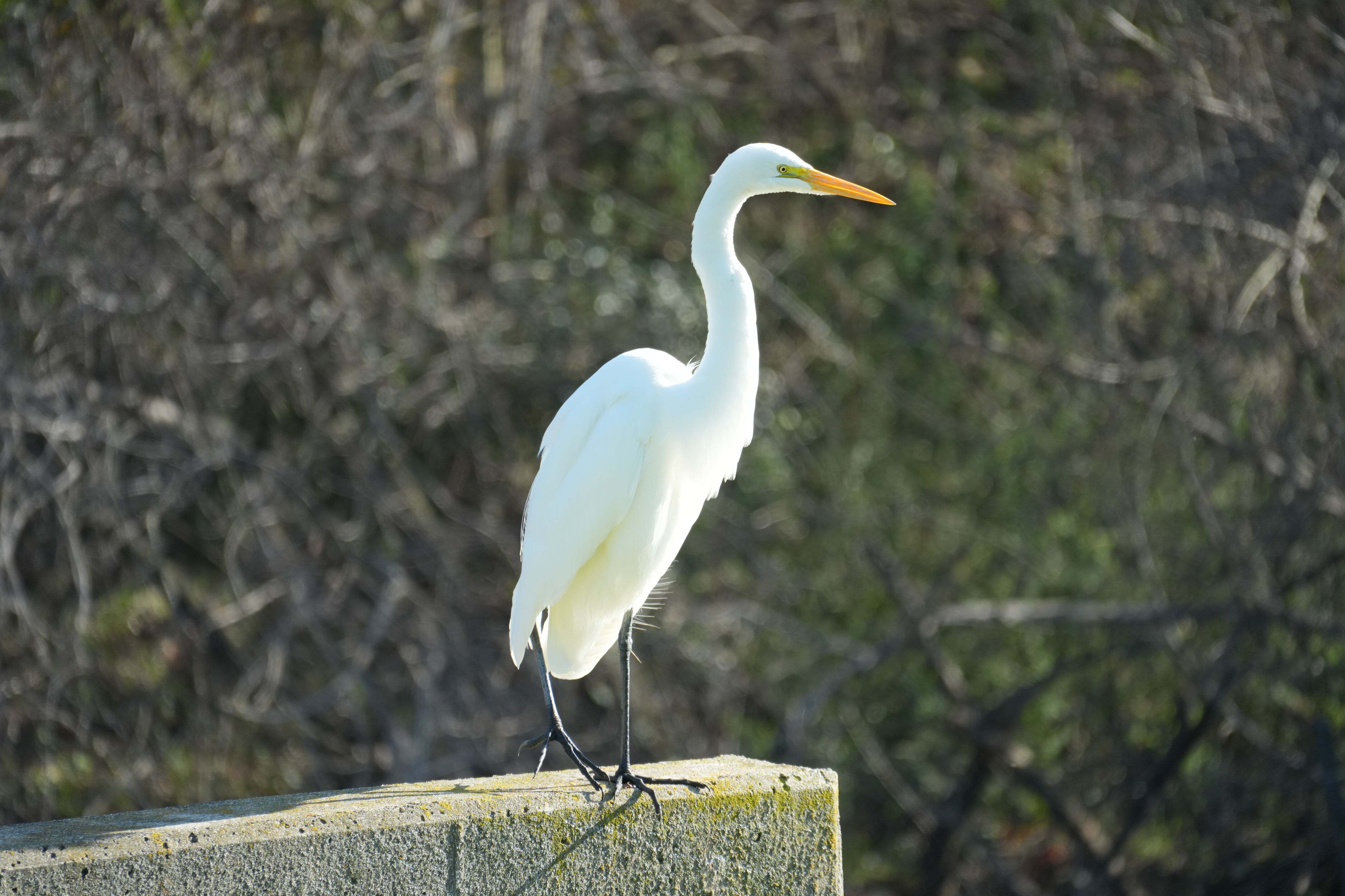 Don Castro Regional Recreation Area