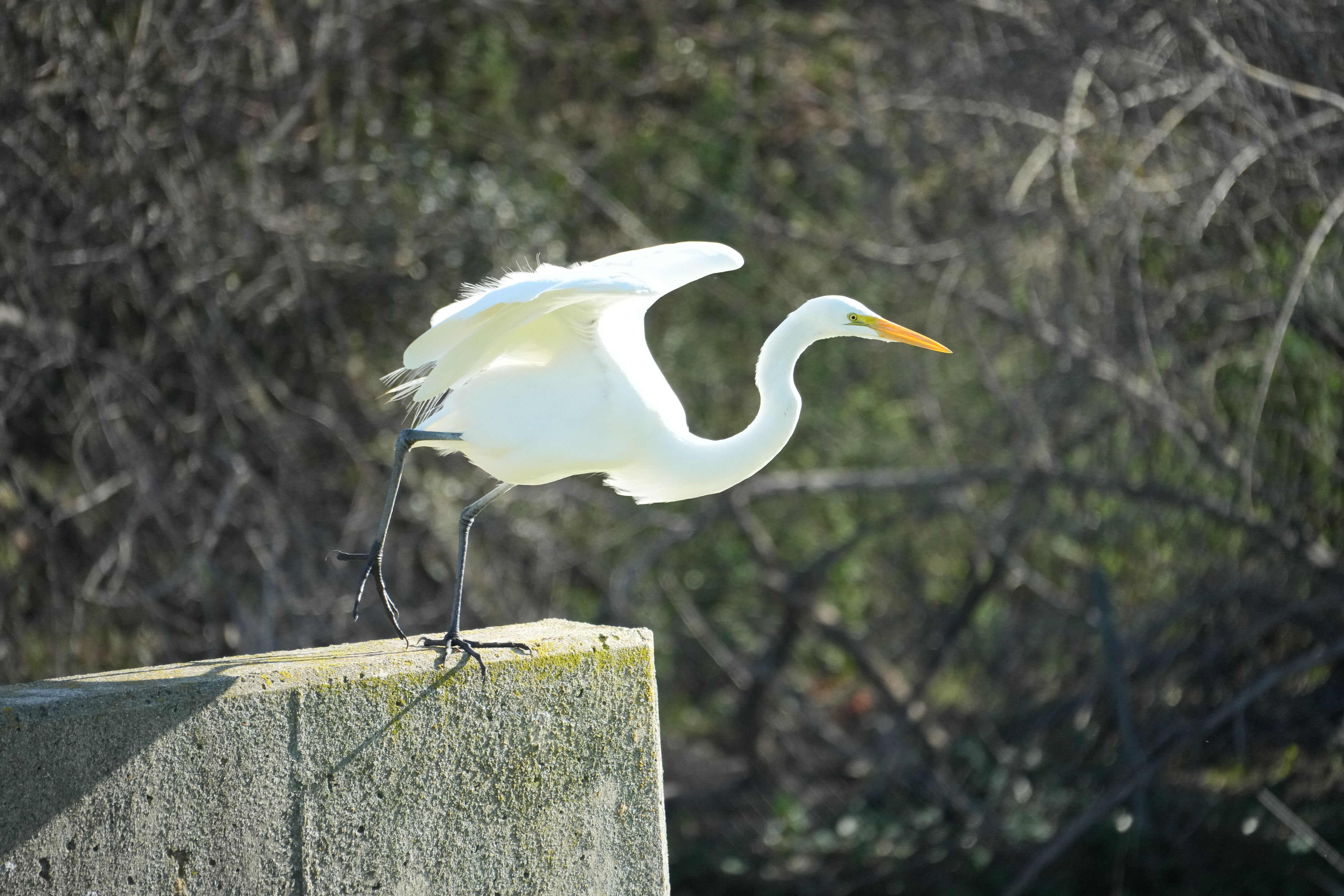 Don Castro Regional Recreation Area