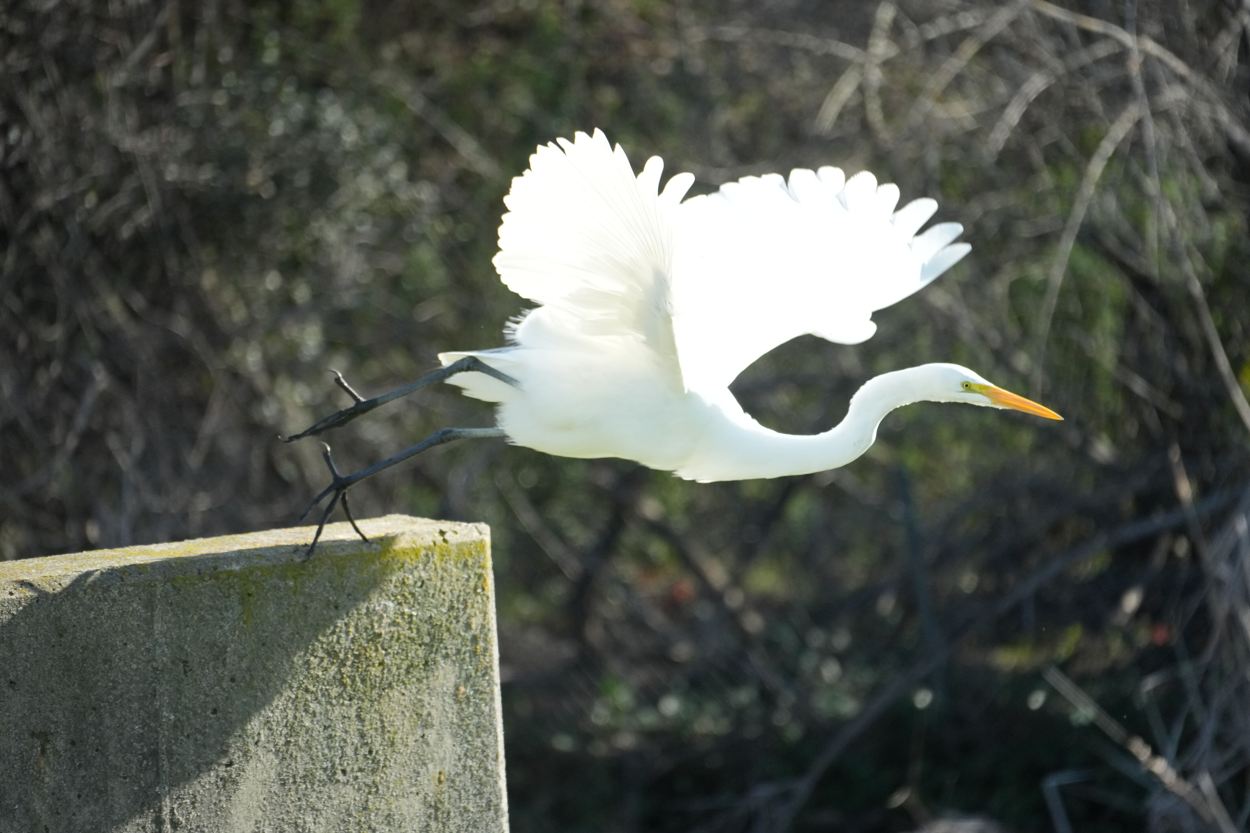 Don Castro Regional Recreation Area