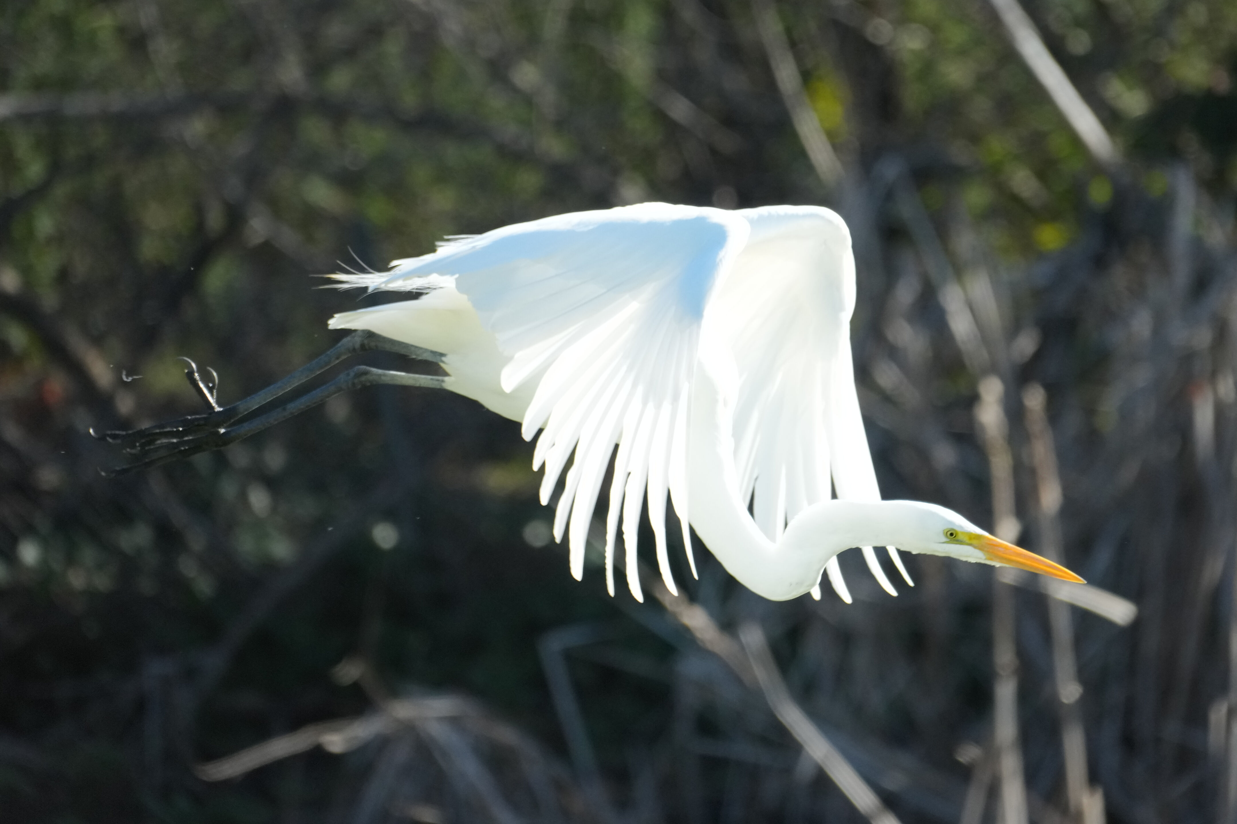 Don Castro Regional Recreation Area