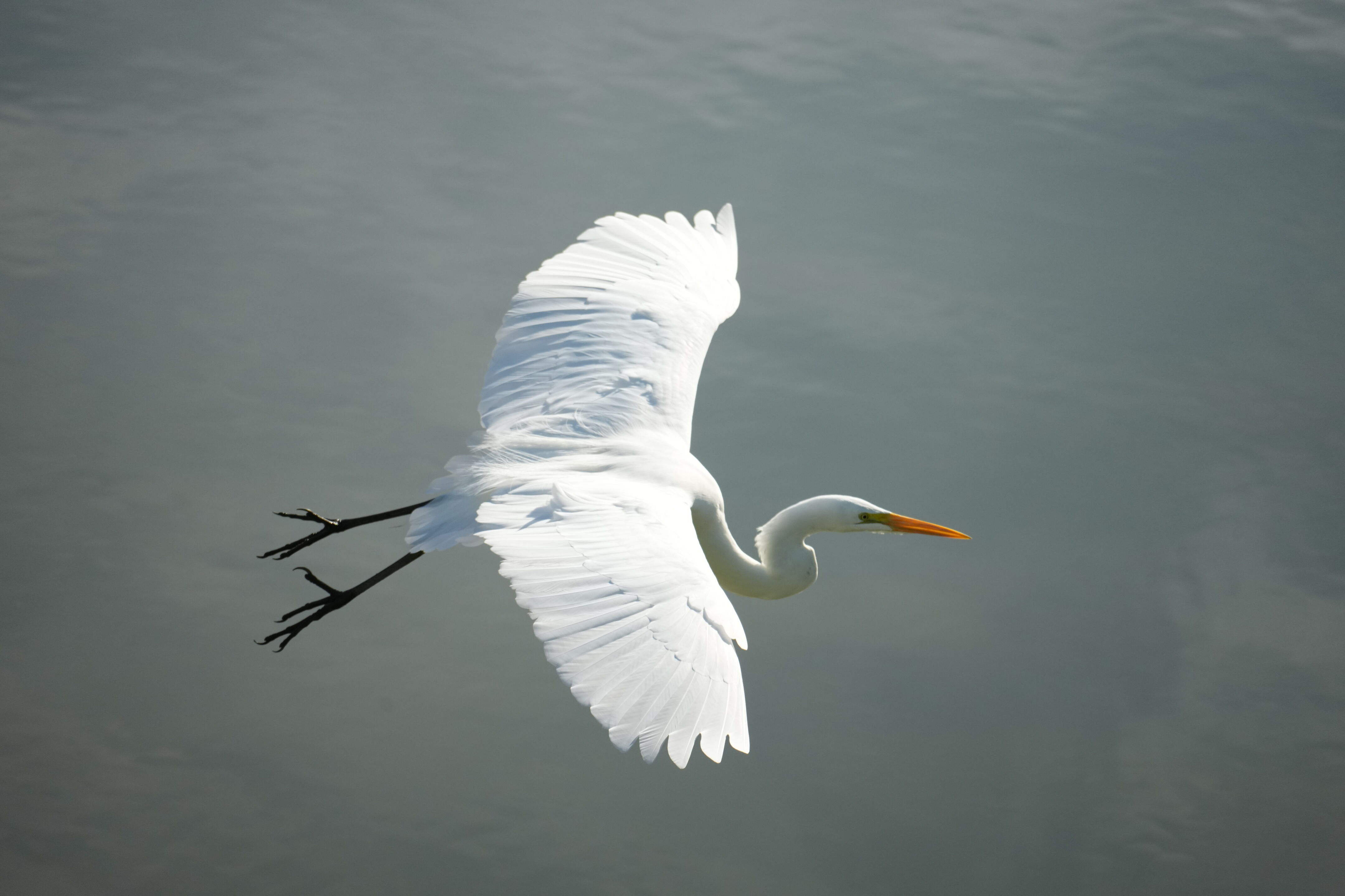 Don Castro Regional Recreation Area