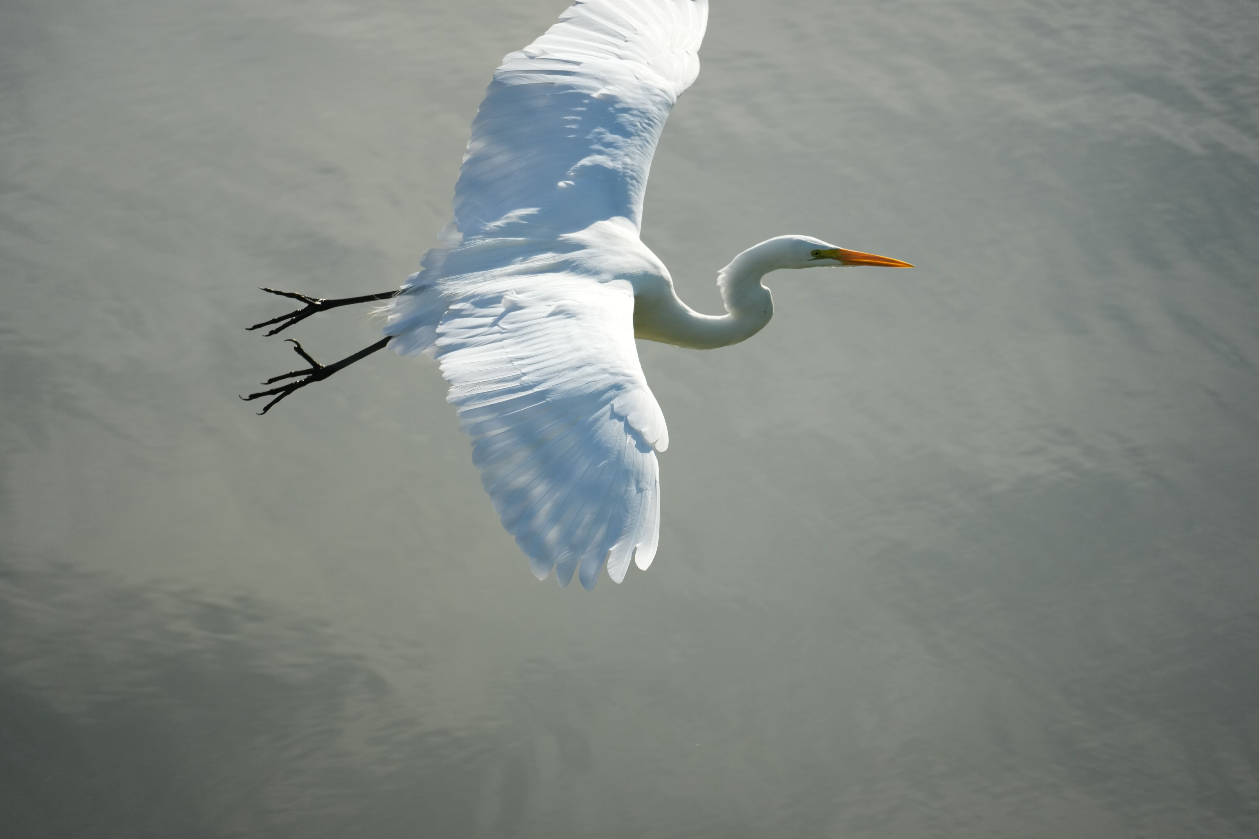 Don Castro Regional Recreation Area