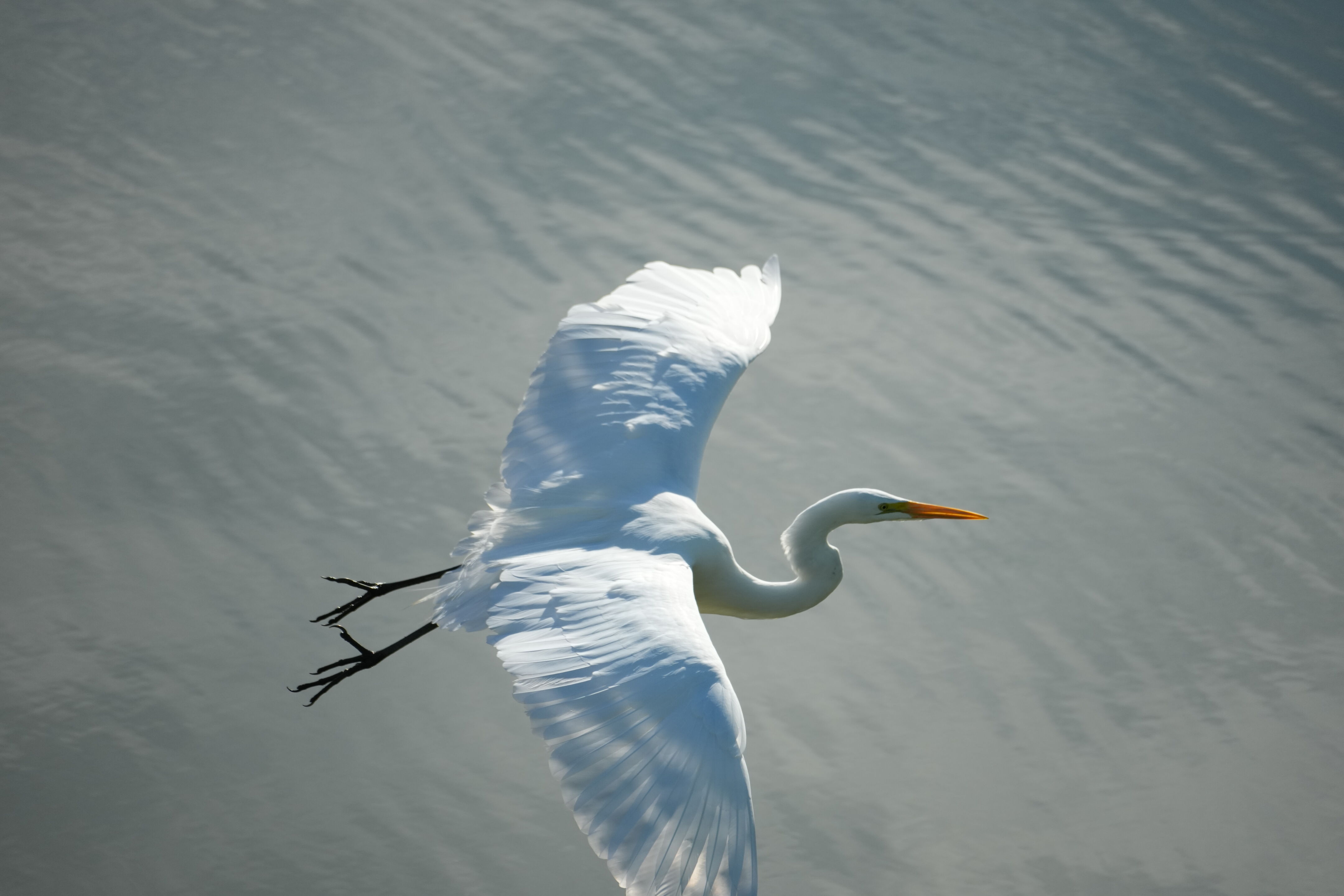 Don Castro Regional Recreation Area