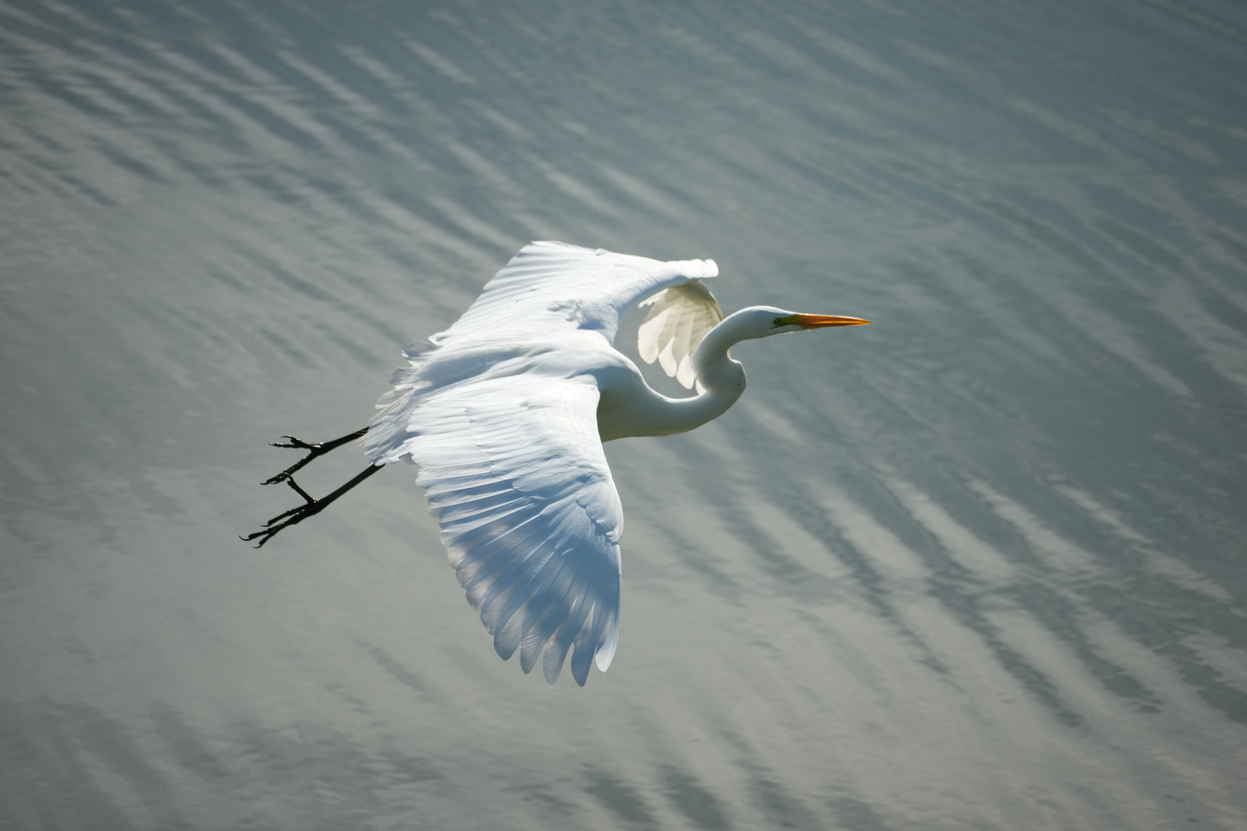 Don Castro Regional Recreation Area