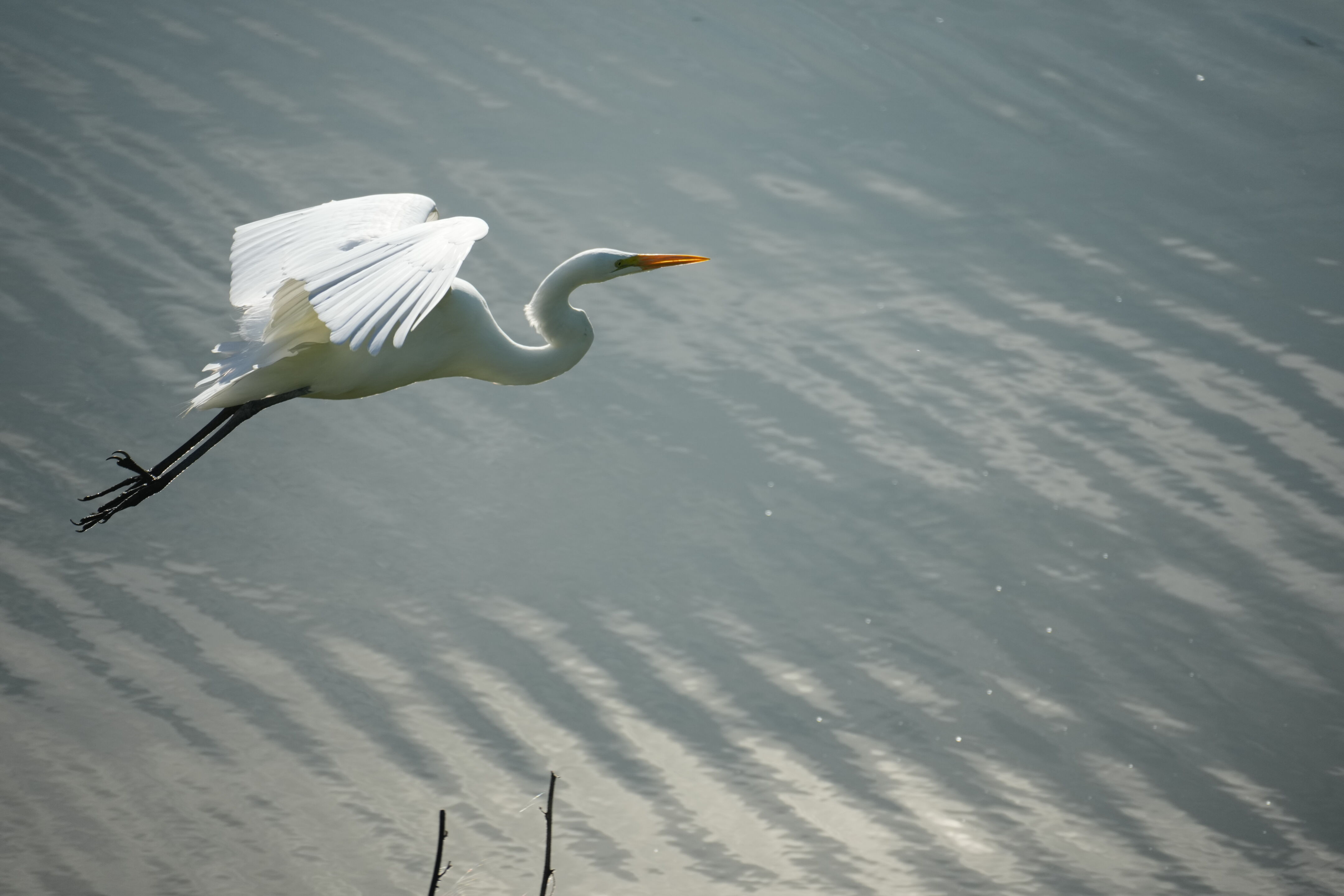 Don Castro Regional Recreation Area