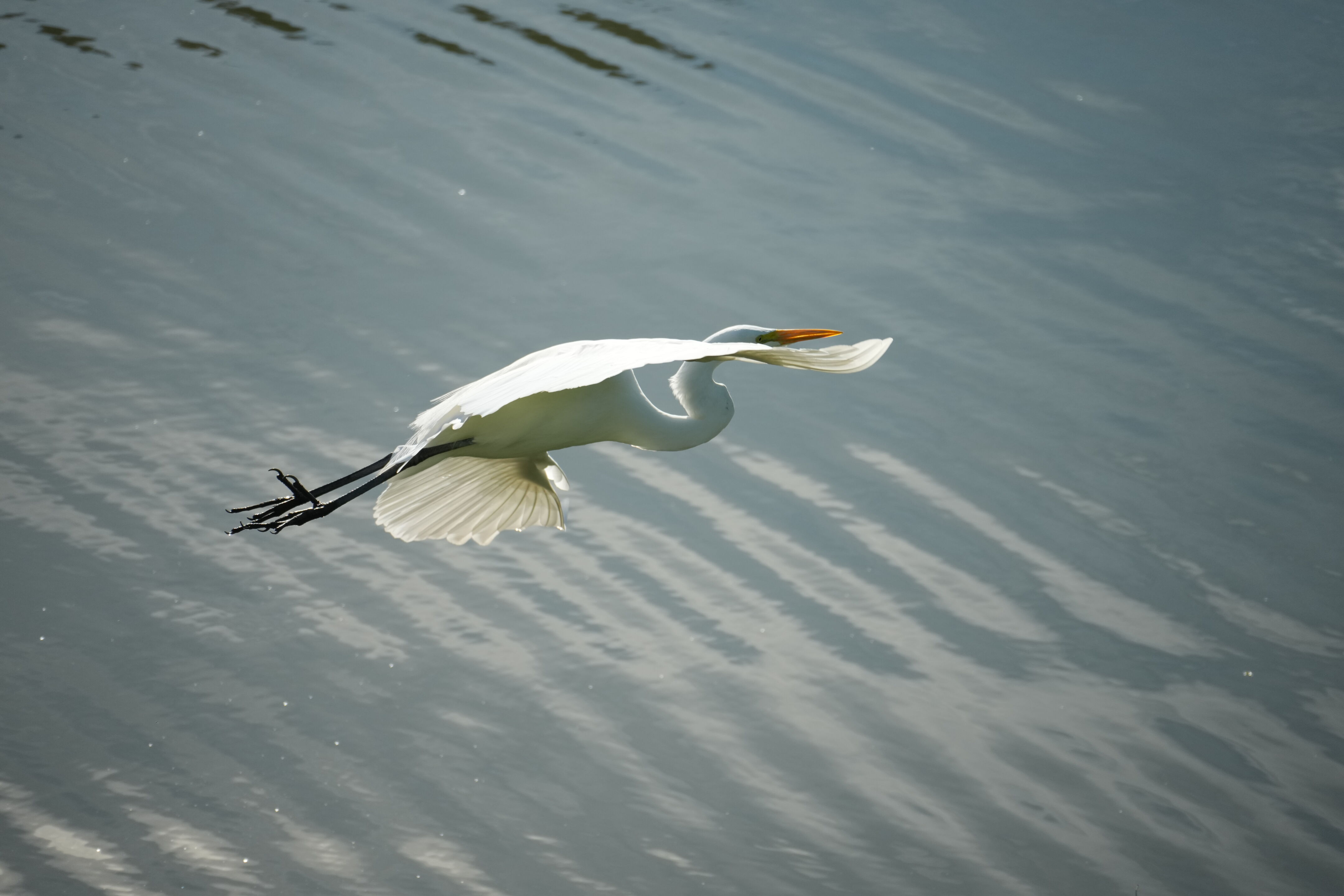Don Castro Regional Recreation Area