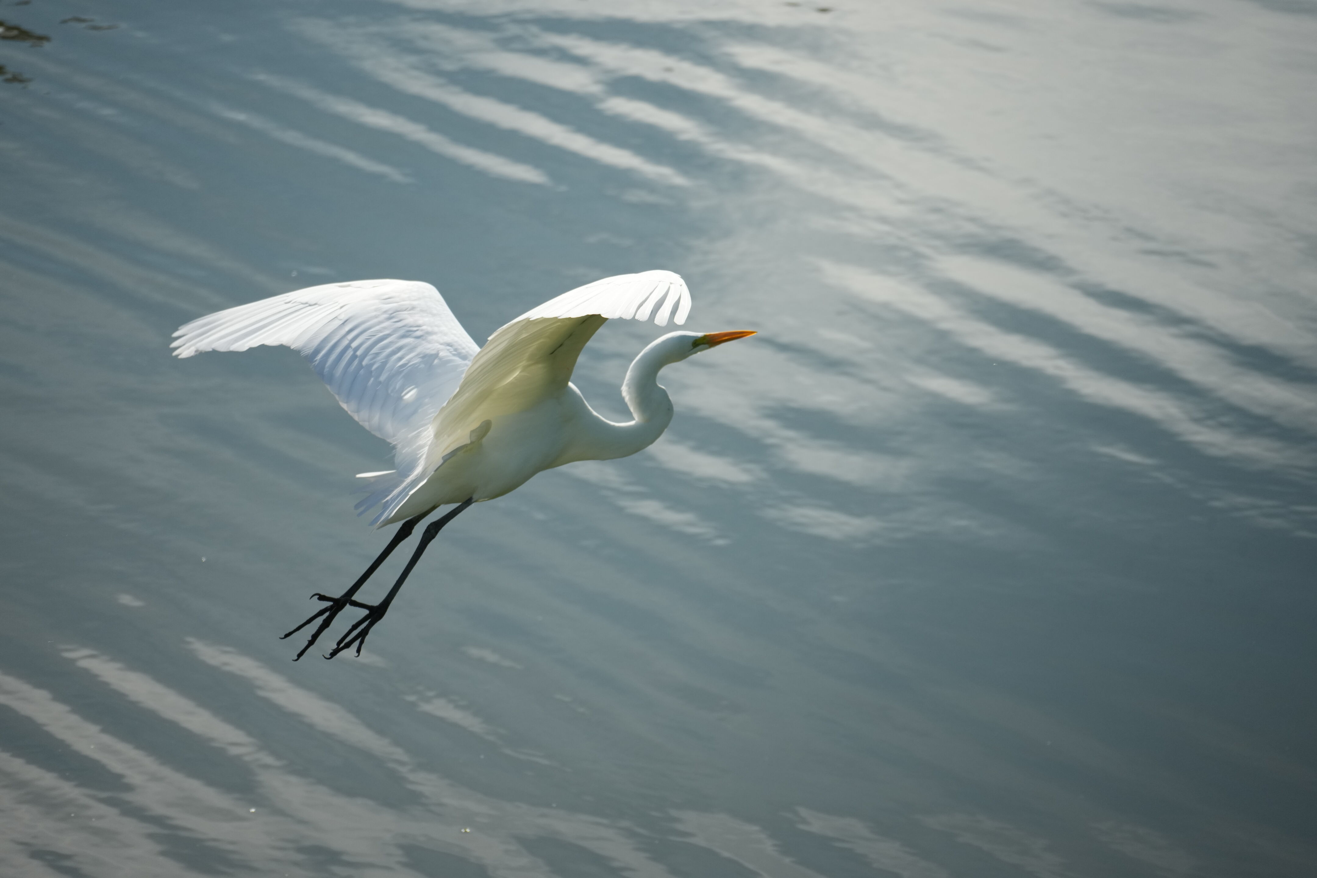 Don Castro Regional Recreation Area