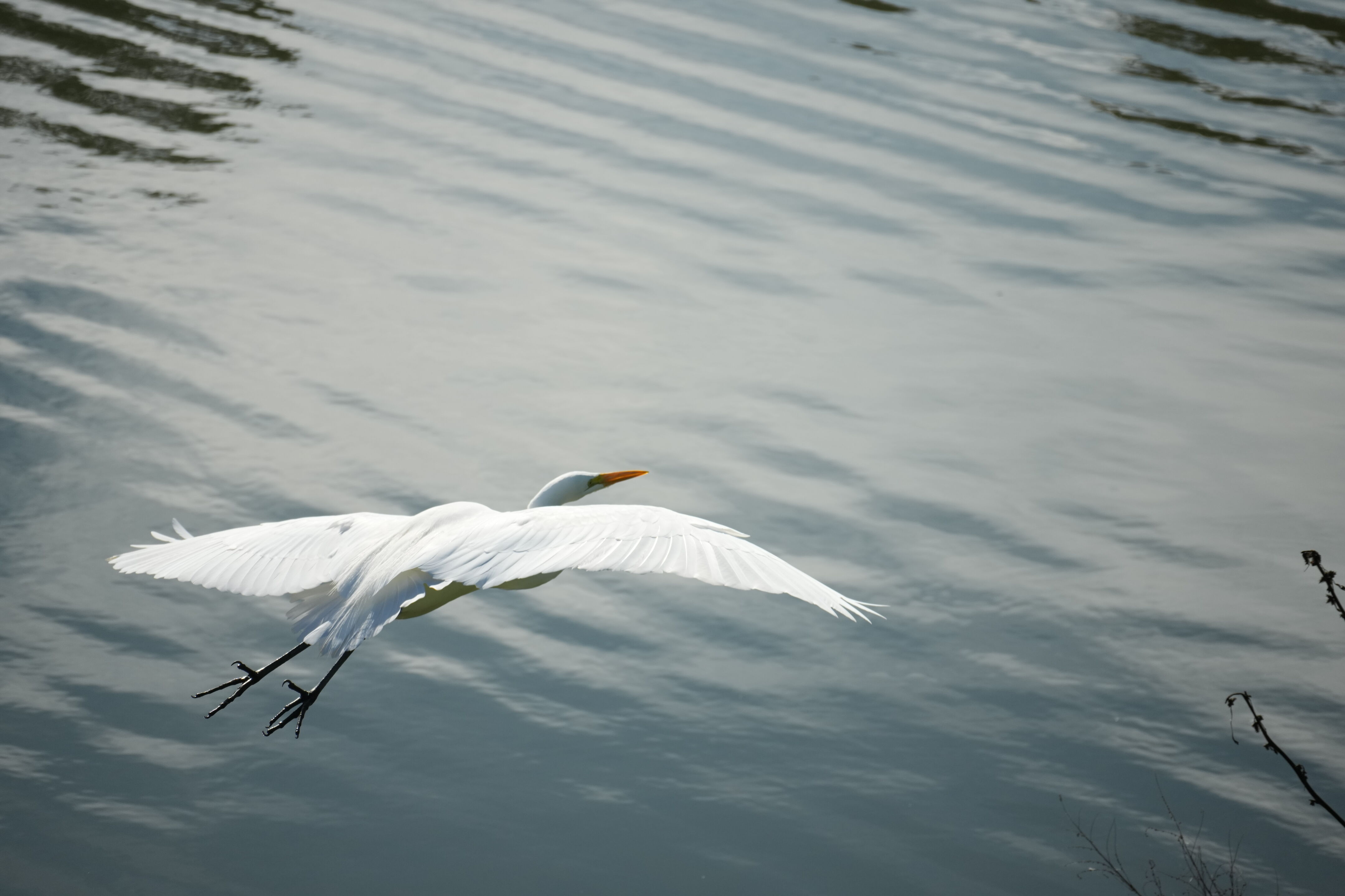 Don Castro Regional Recreation Area