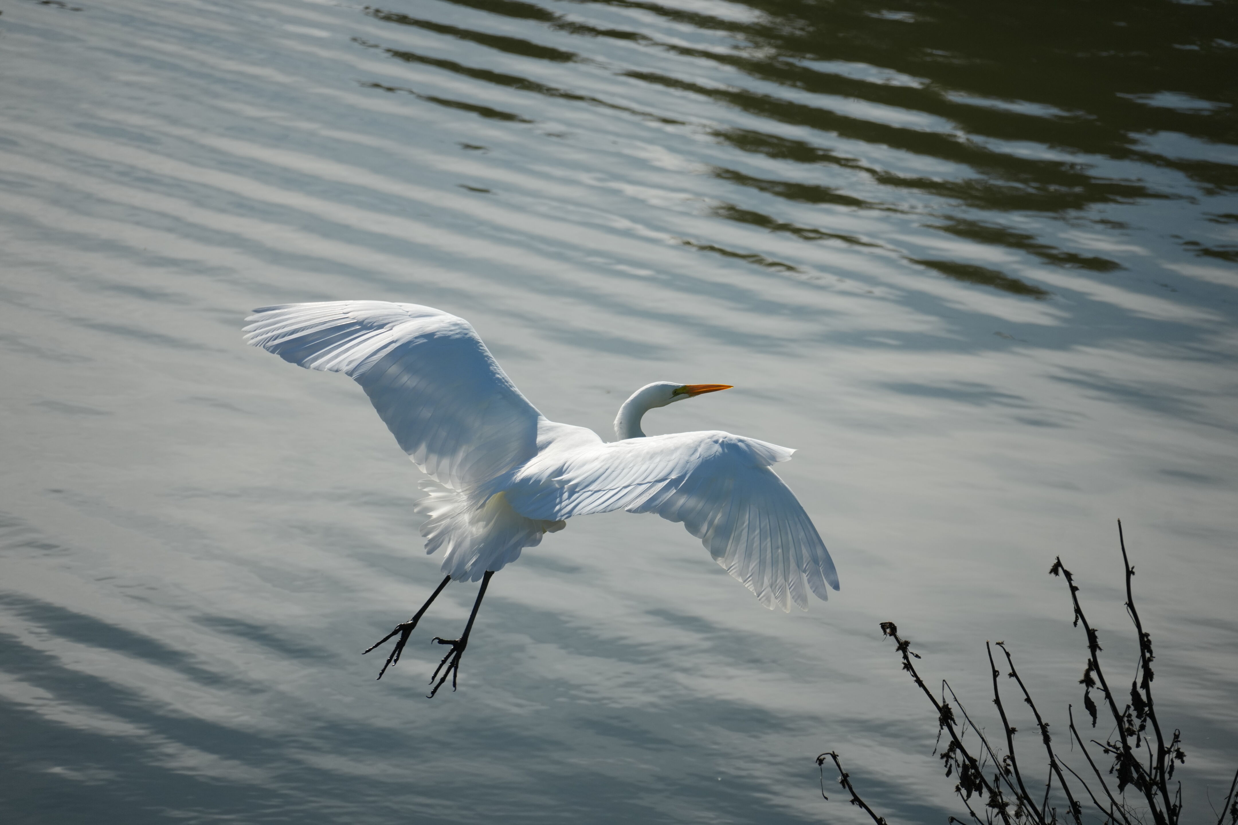 Don Castro Regional Recreation Area