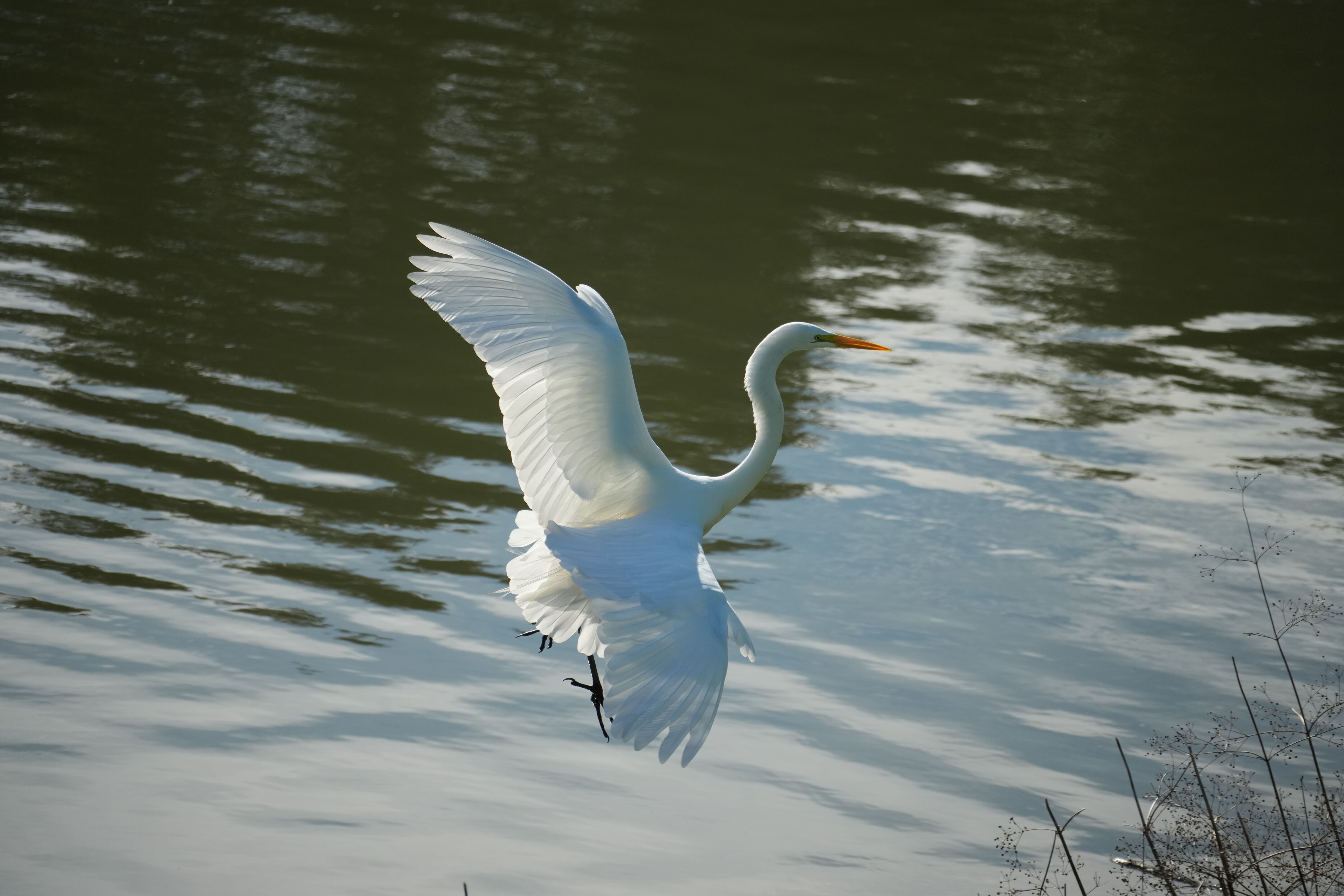Don Castro Regional Recreation Area