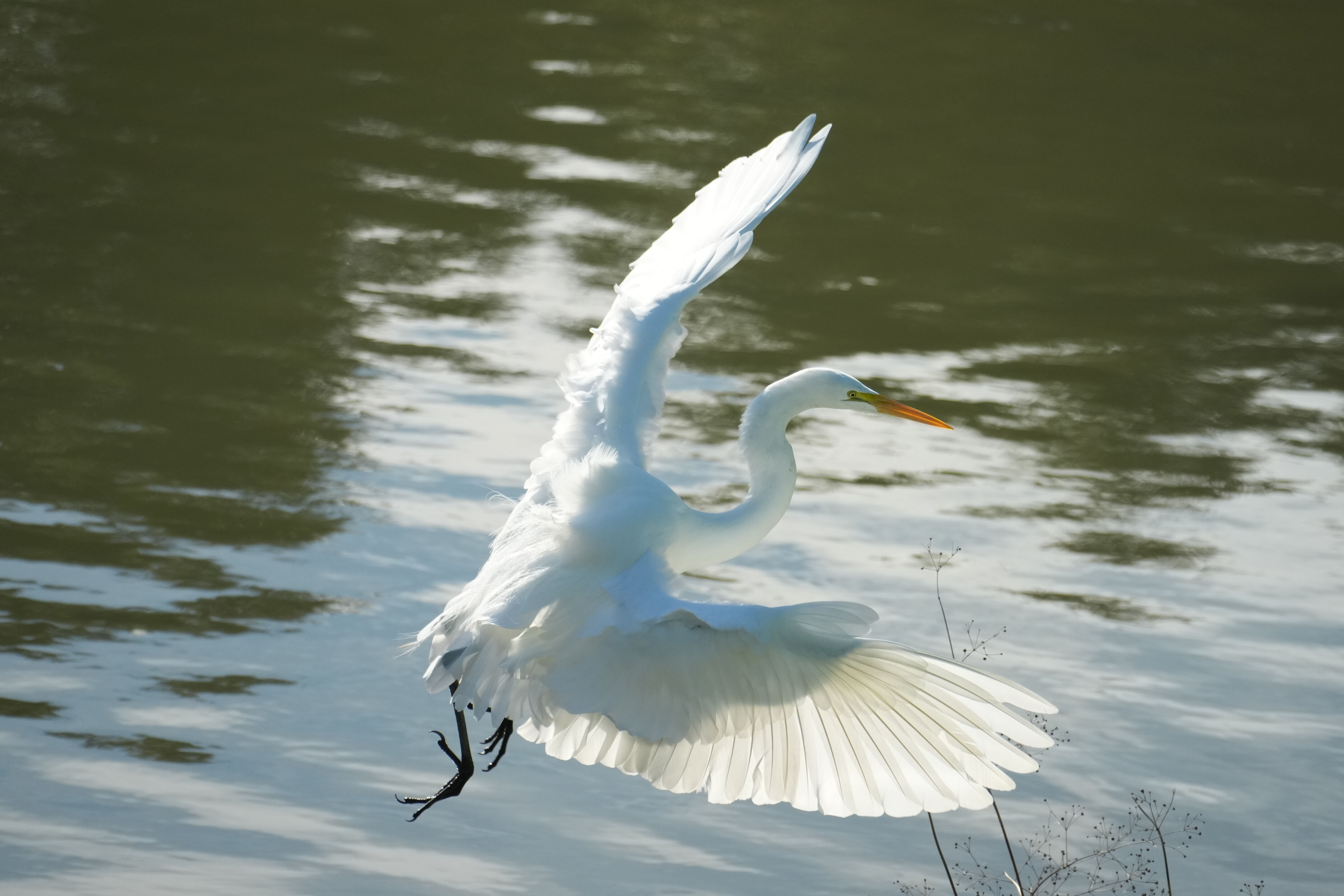 Don Castro Regional Recreation Area