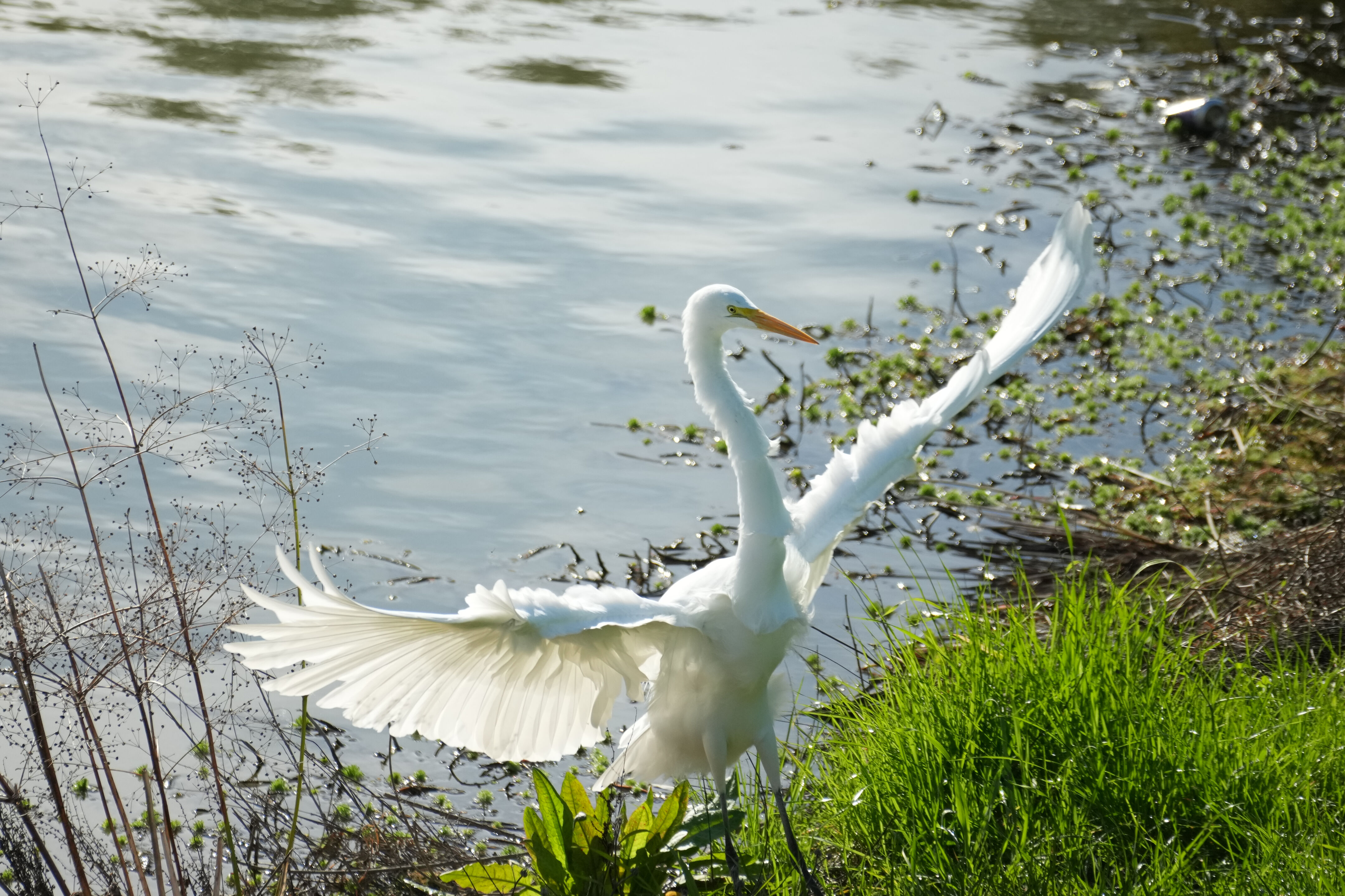 Don Castro Regional Recreation Area