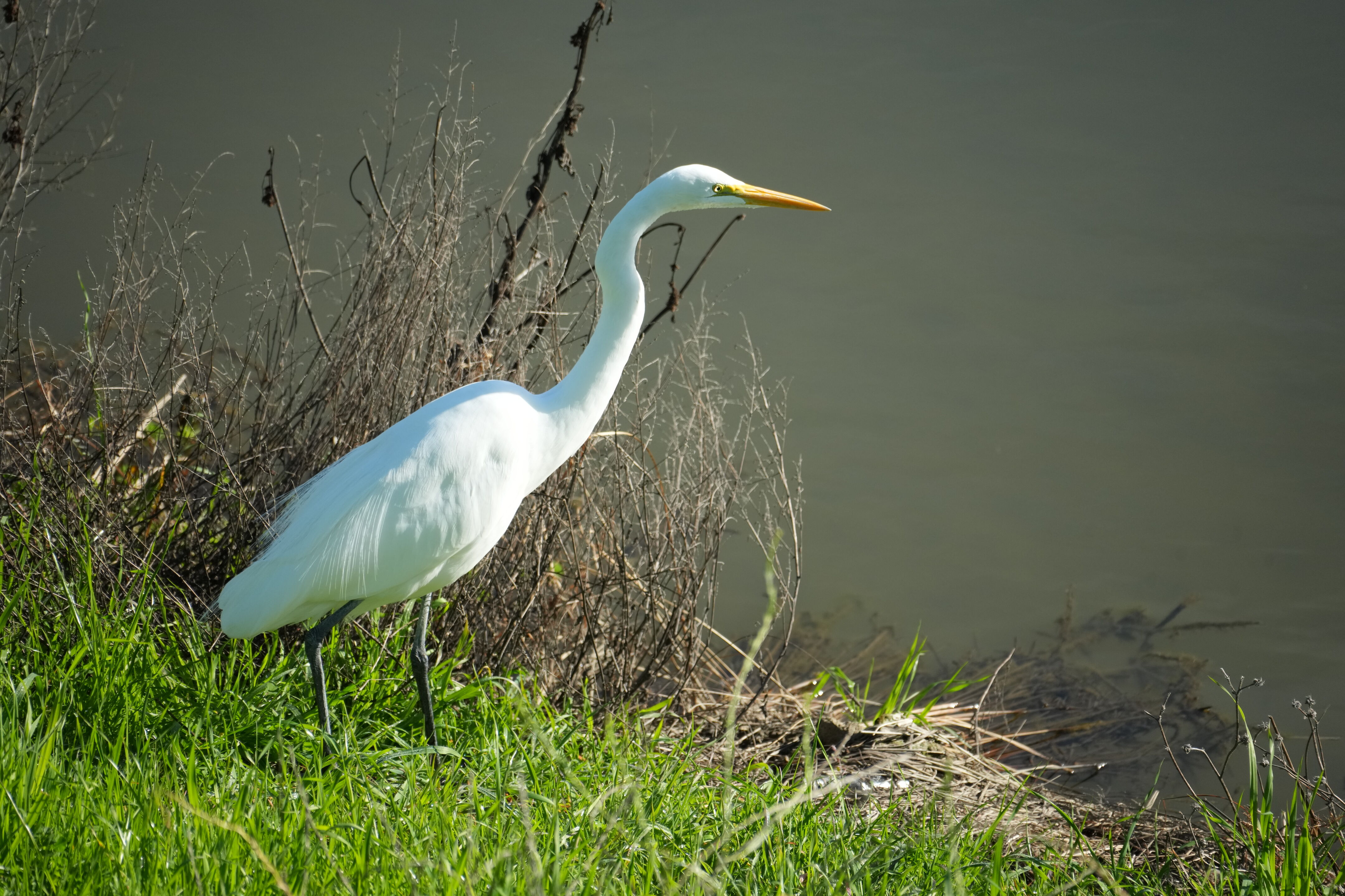 Don Castro Regional Recreation Area