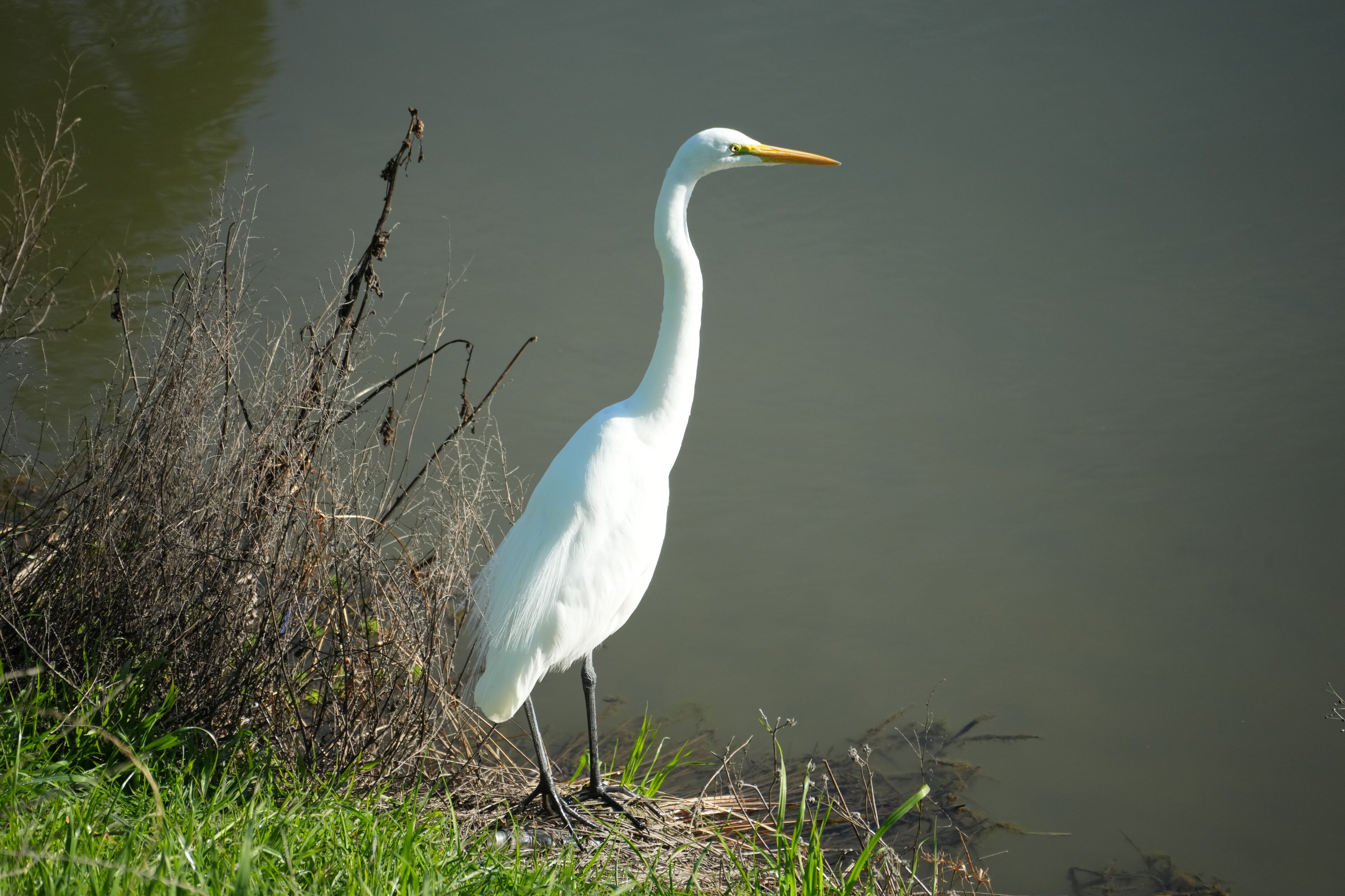 Don Castro Regional Recreation Area