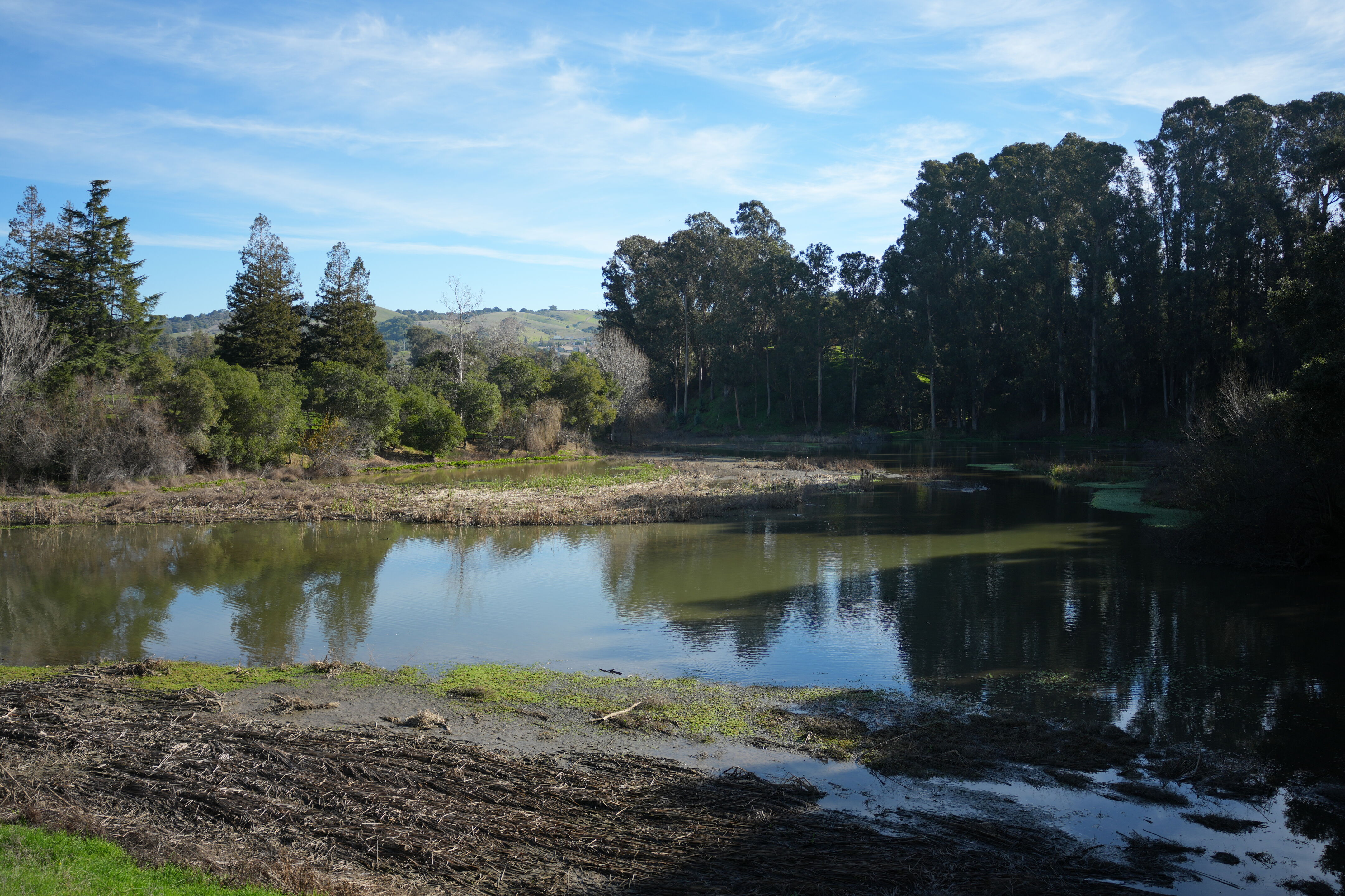 Don Castro Regional Recreation Area