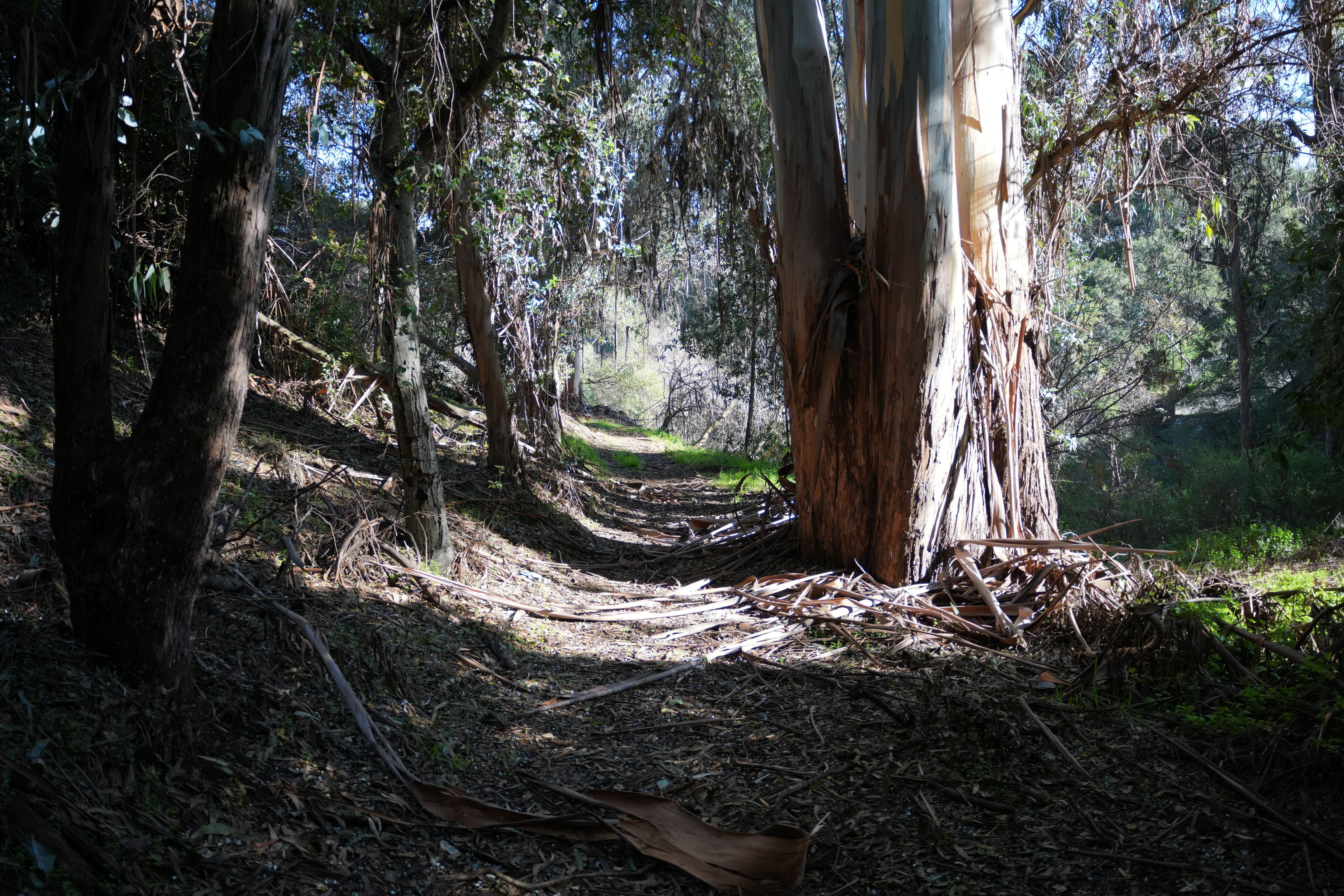 Don Castro Regional Recreation Area