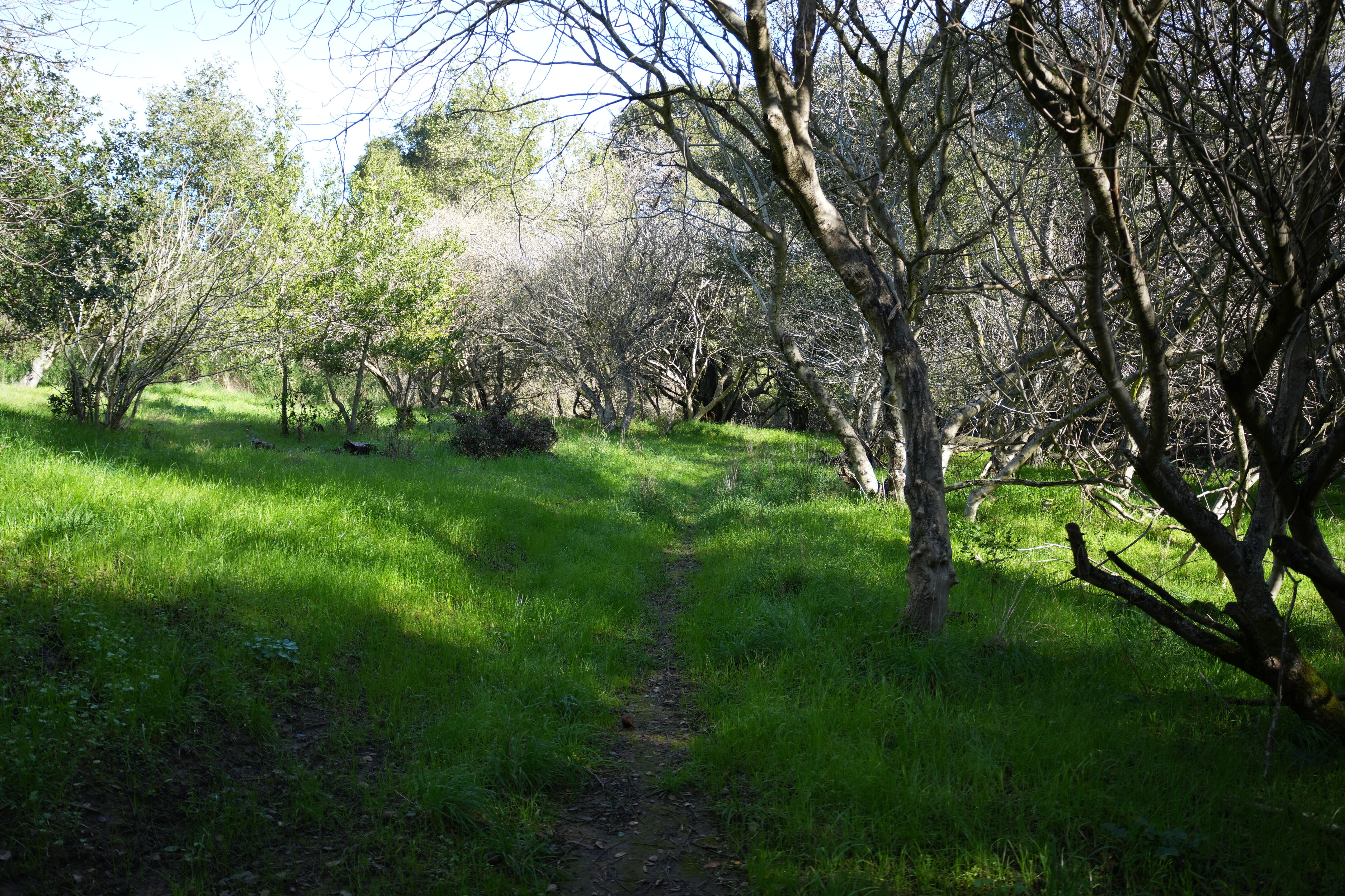 Don Castro Regional Recreation Area