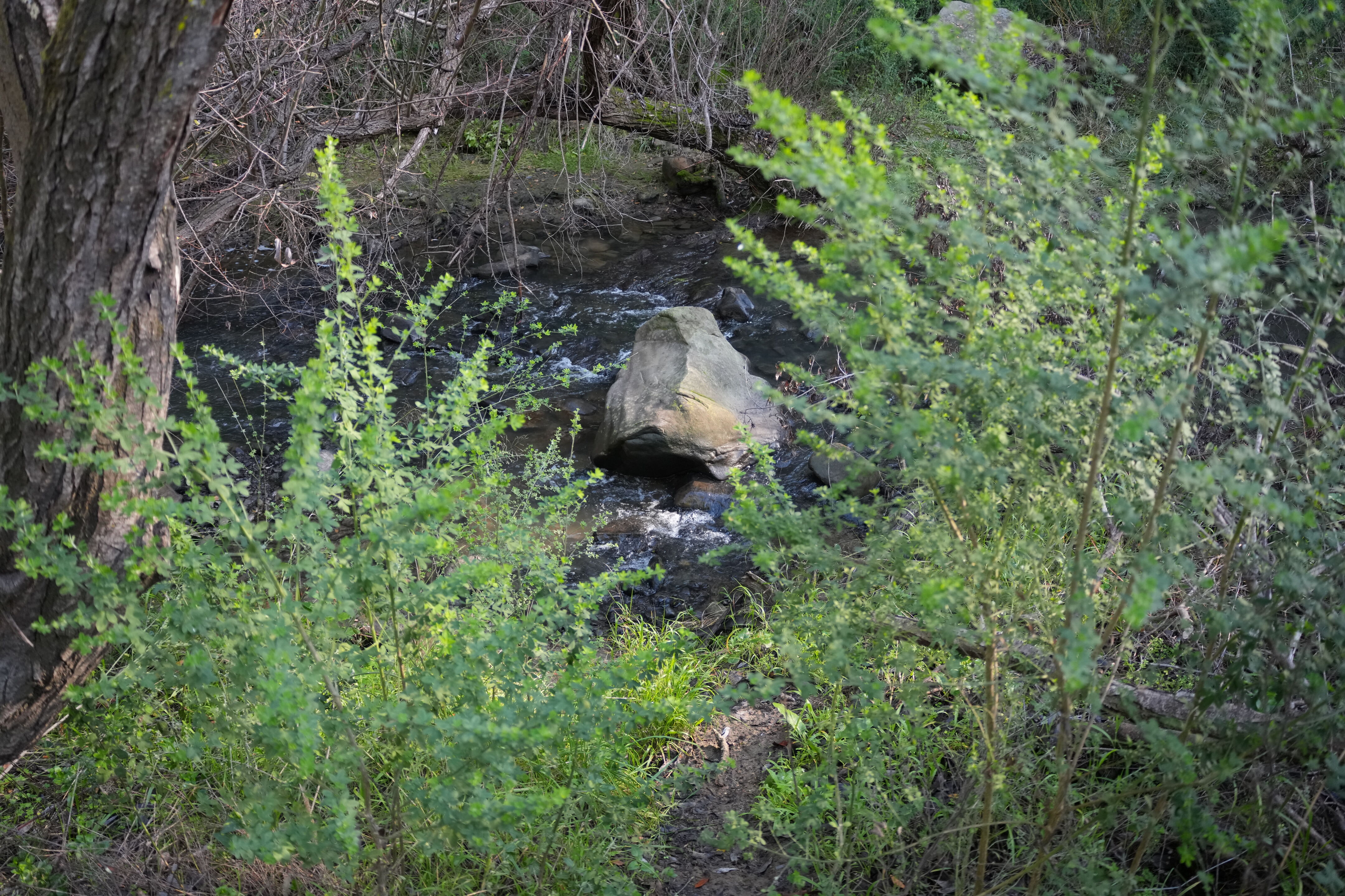 Don Castro Regional Recreation Area