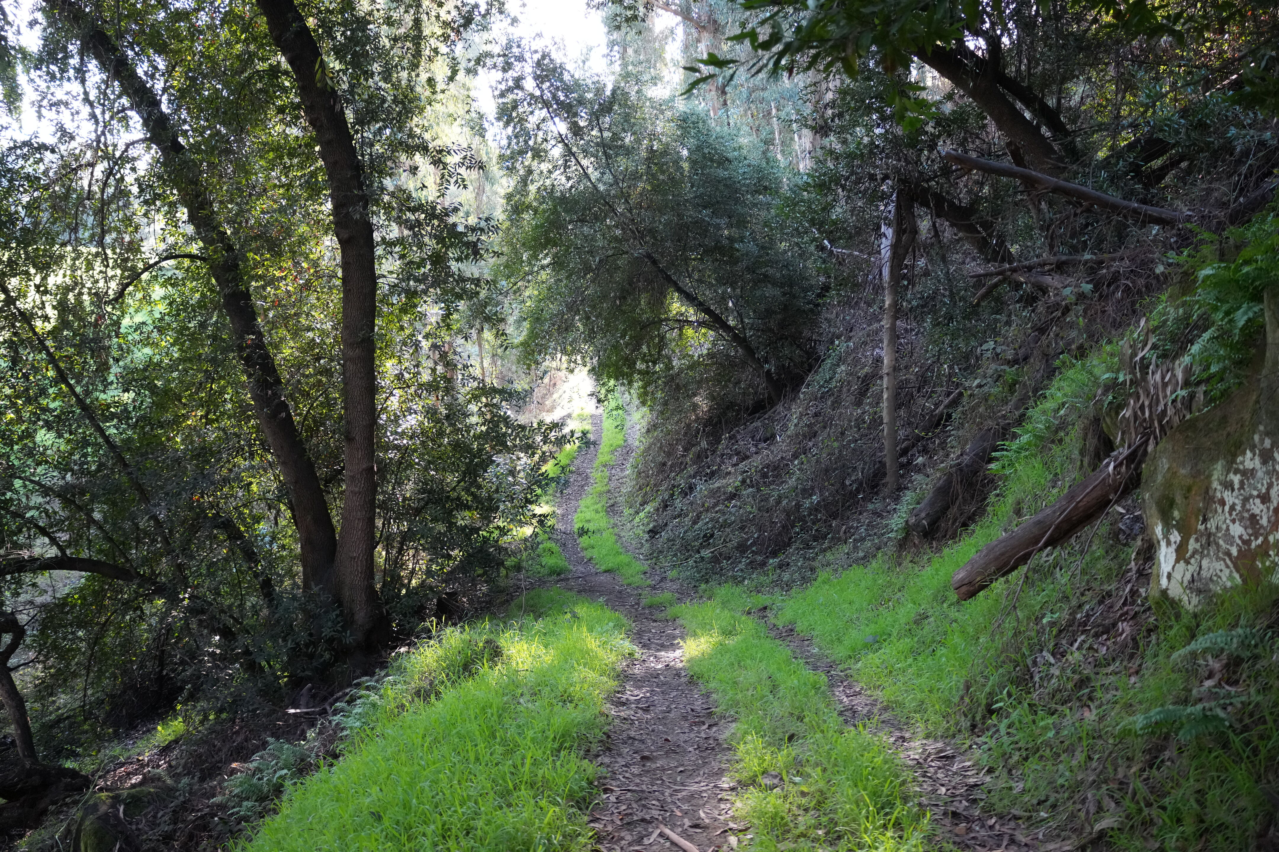 Don Castro Regional Recreation Area