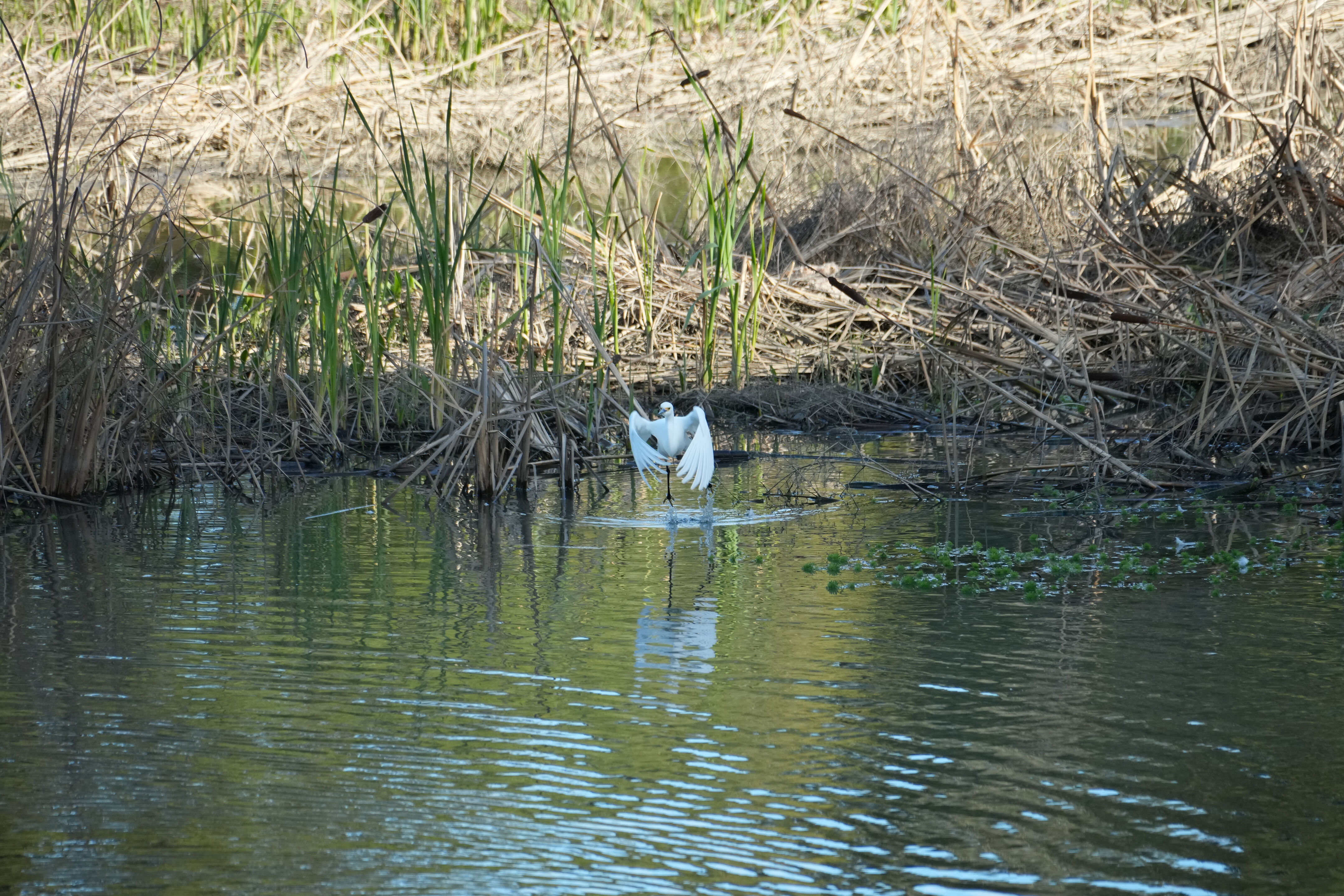 Don Castro Regional Recreation Area