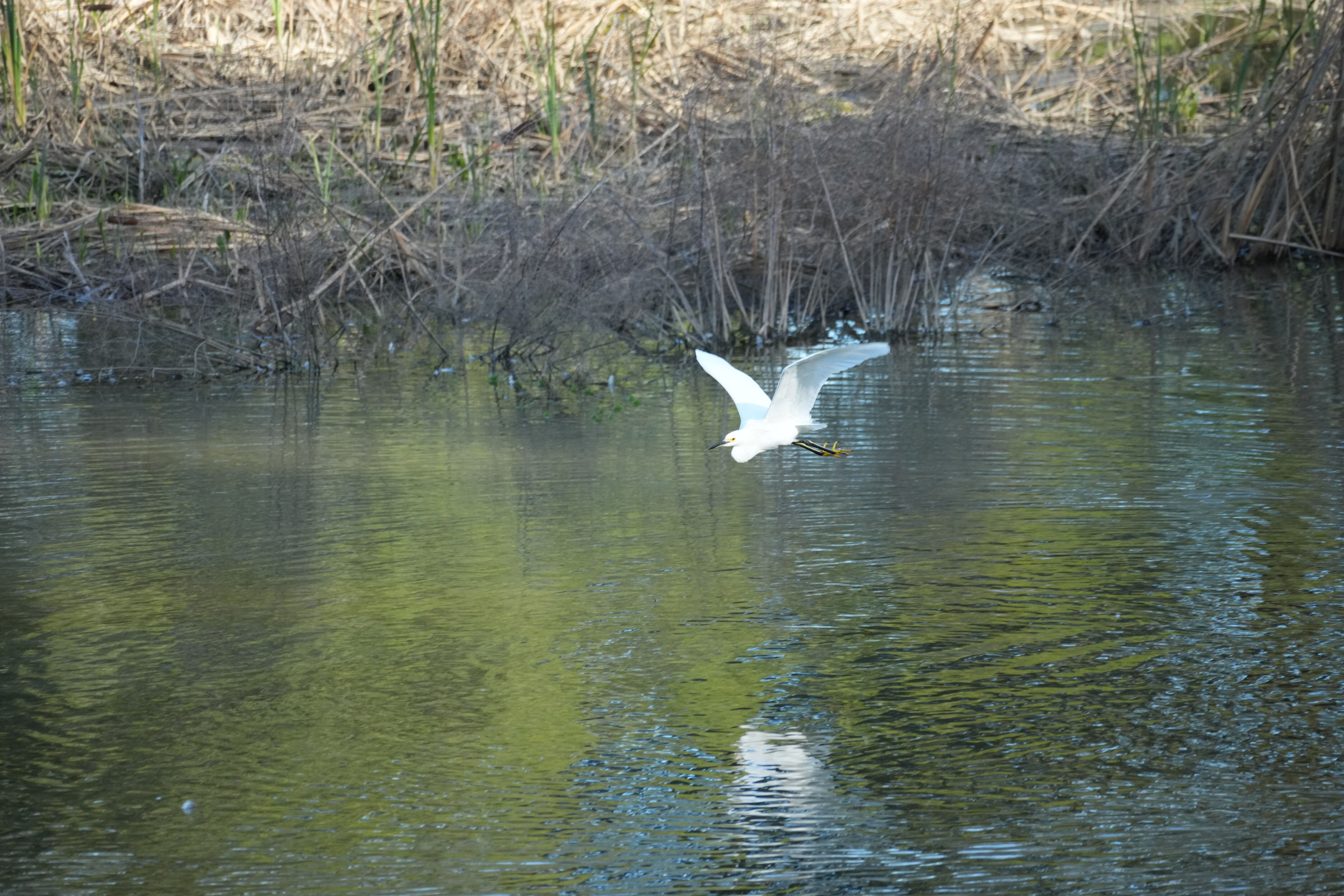 Don Castro Regional Recreation Area