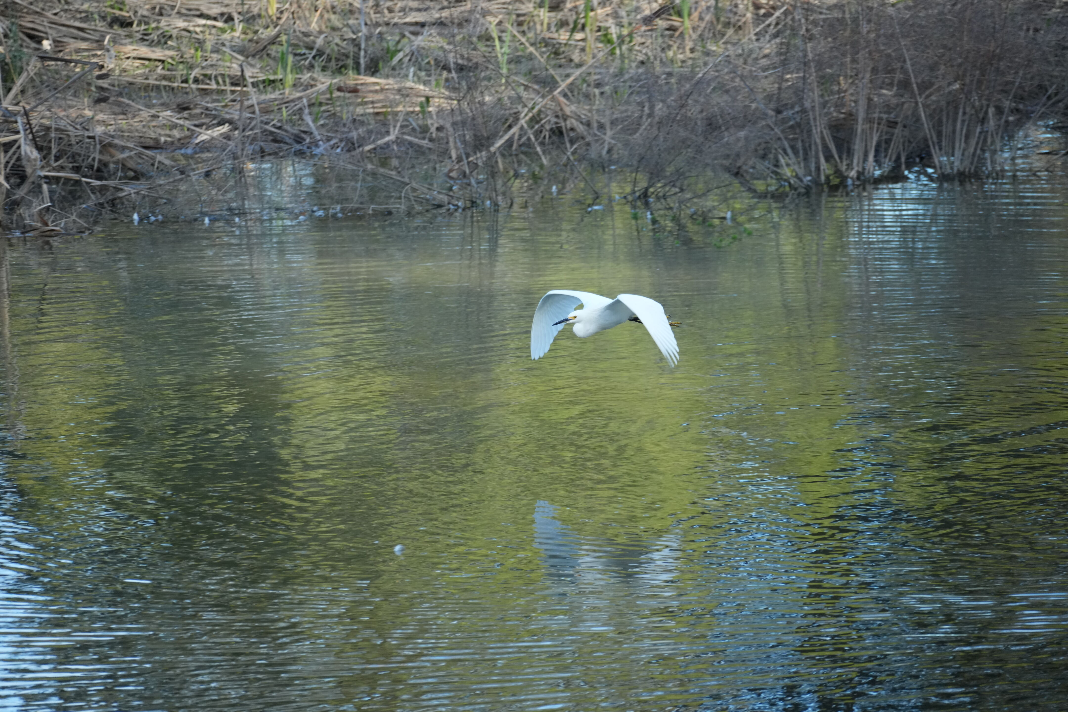 Don Castro Regional Recreation Area