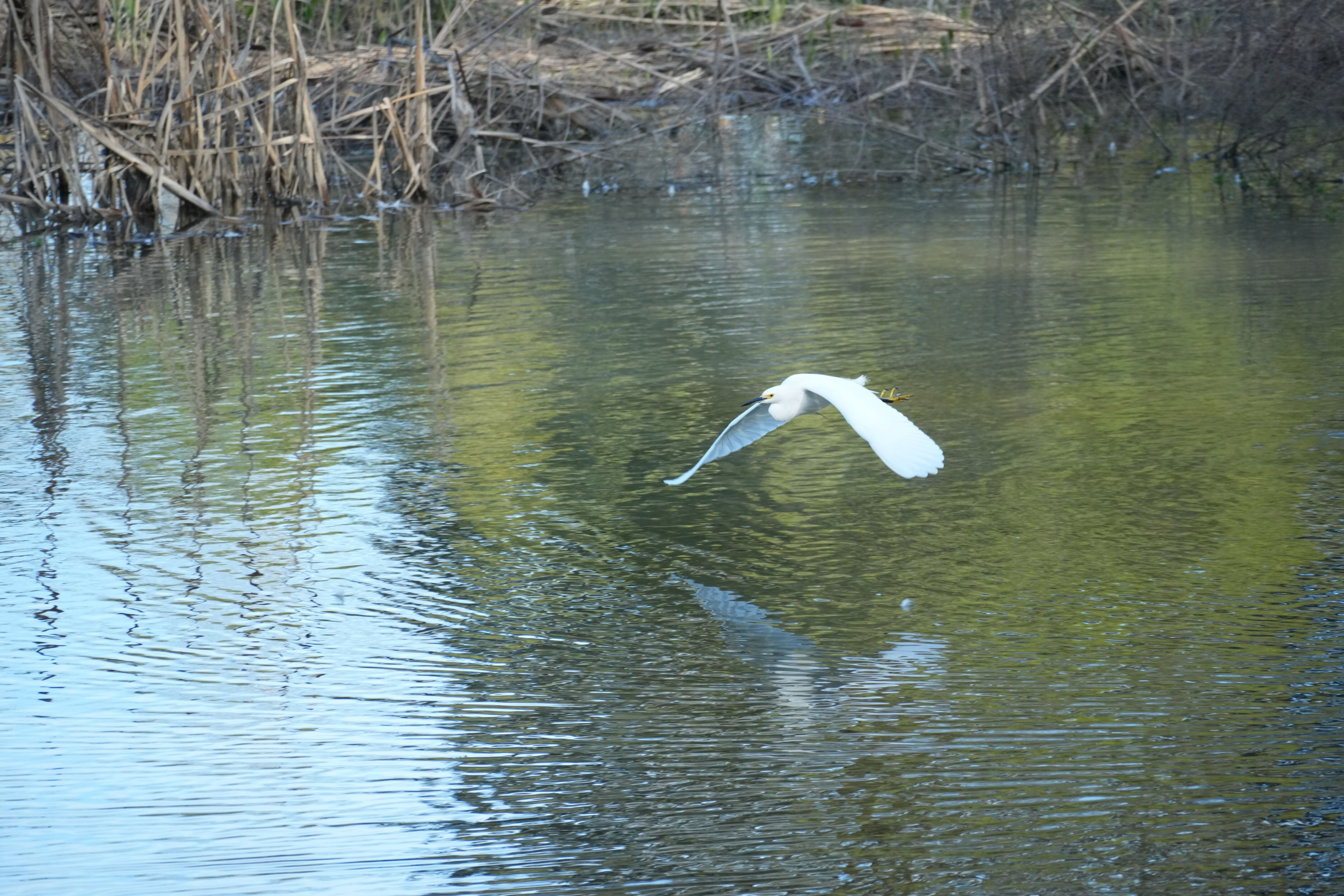 Don Castro Regional Recreation Area